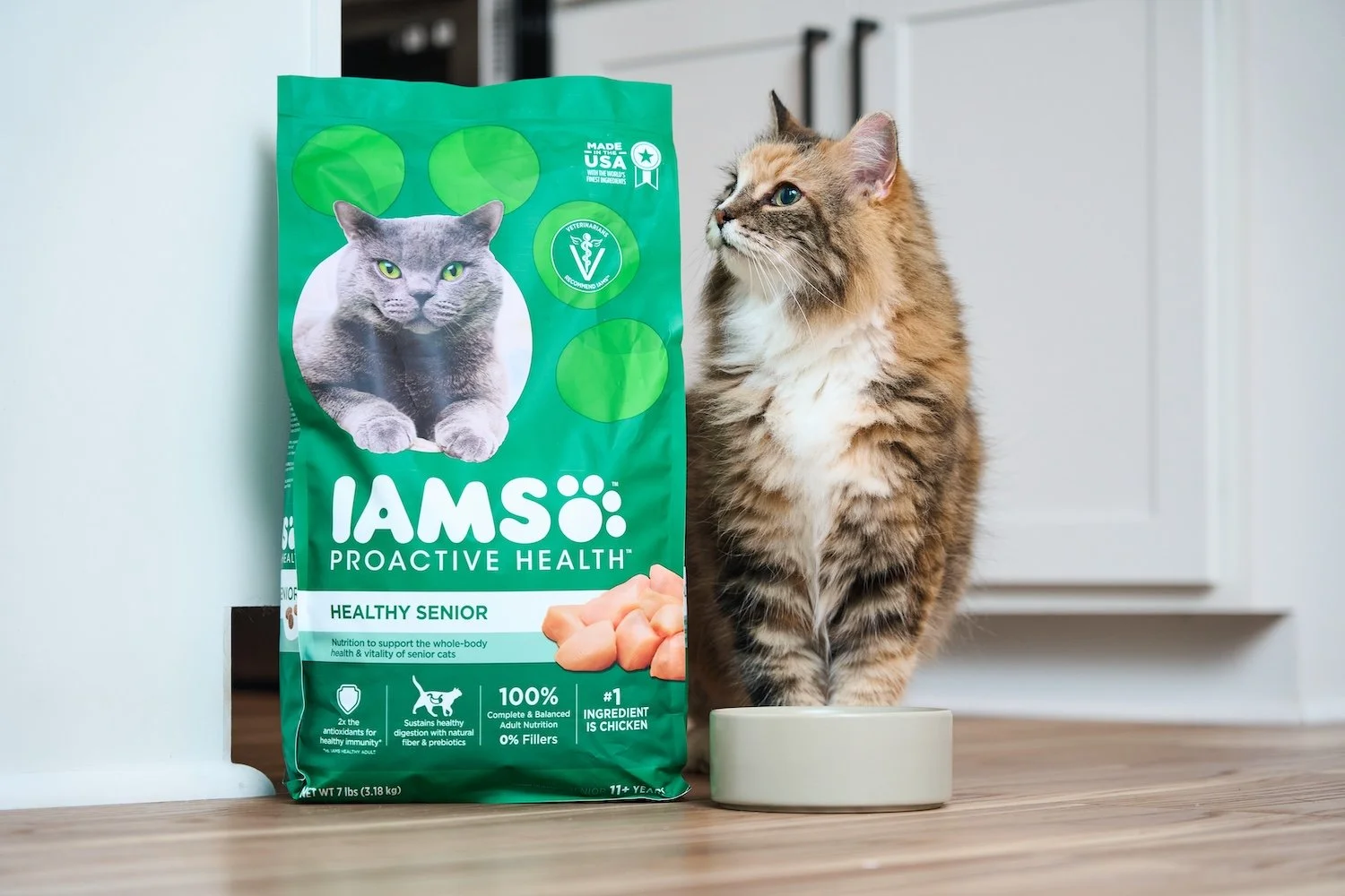 Lifestyle photography image of a cat sitting by food bowl looking at green IAMS food bag
