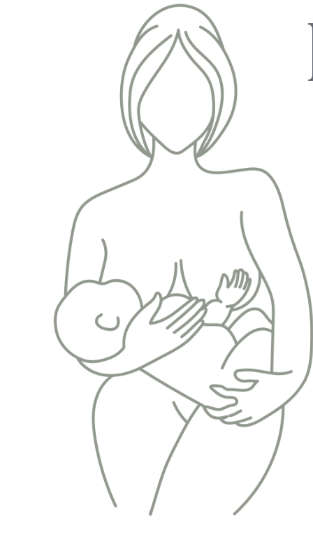 Boobs and Bottoms: For Birth &amp; Postpartum Professionals 