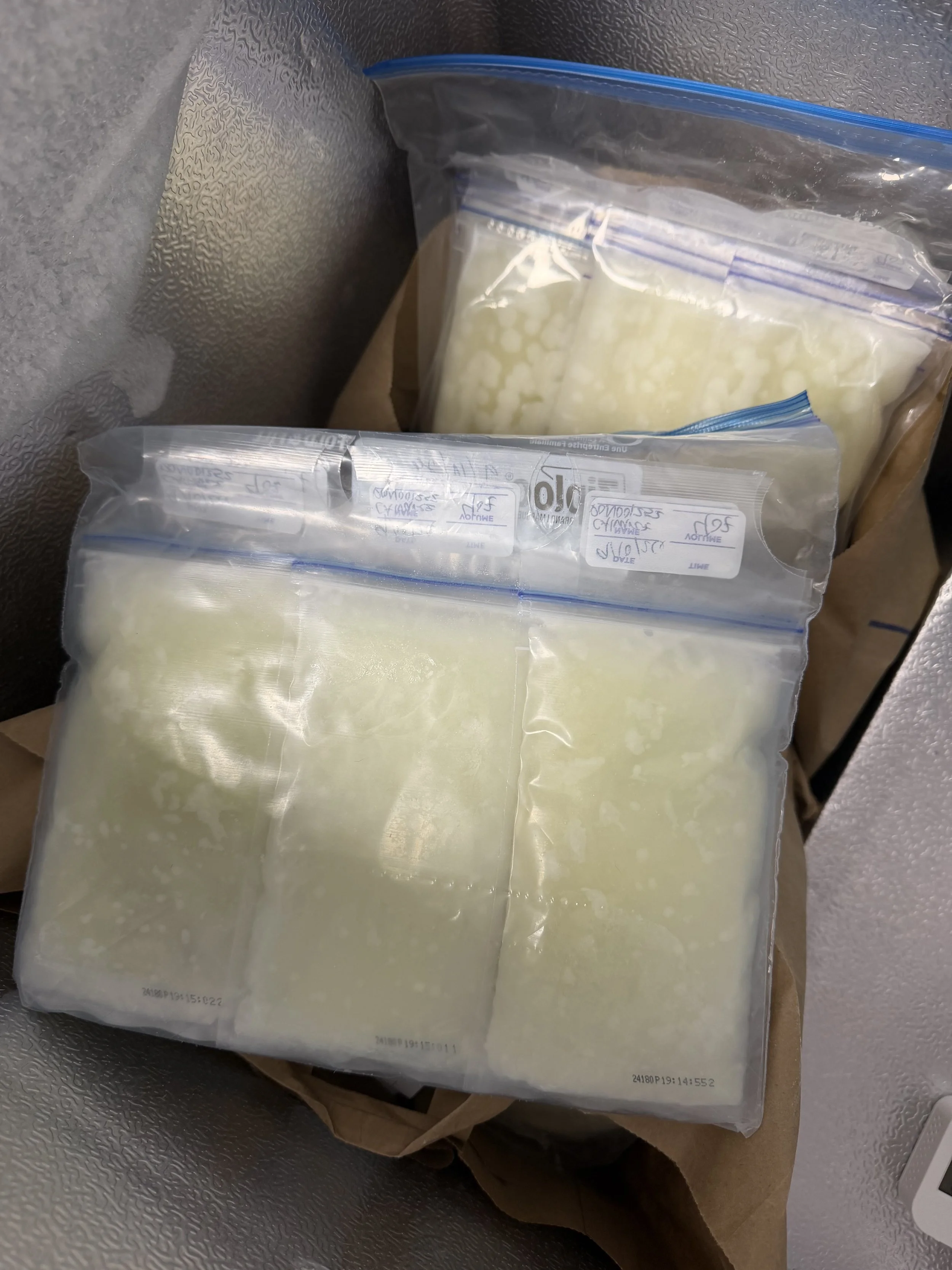 frozen bags of breastmilk