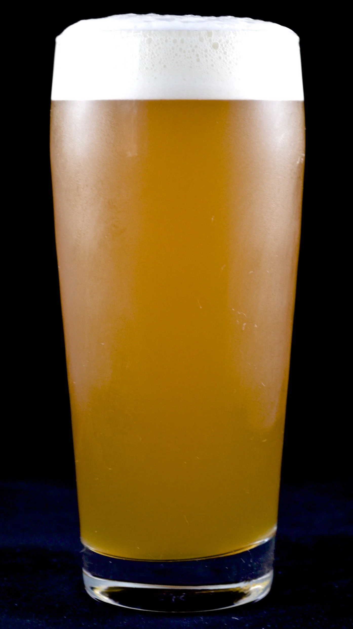 Hipster Catnip _ A.jpg