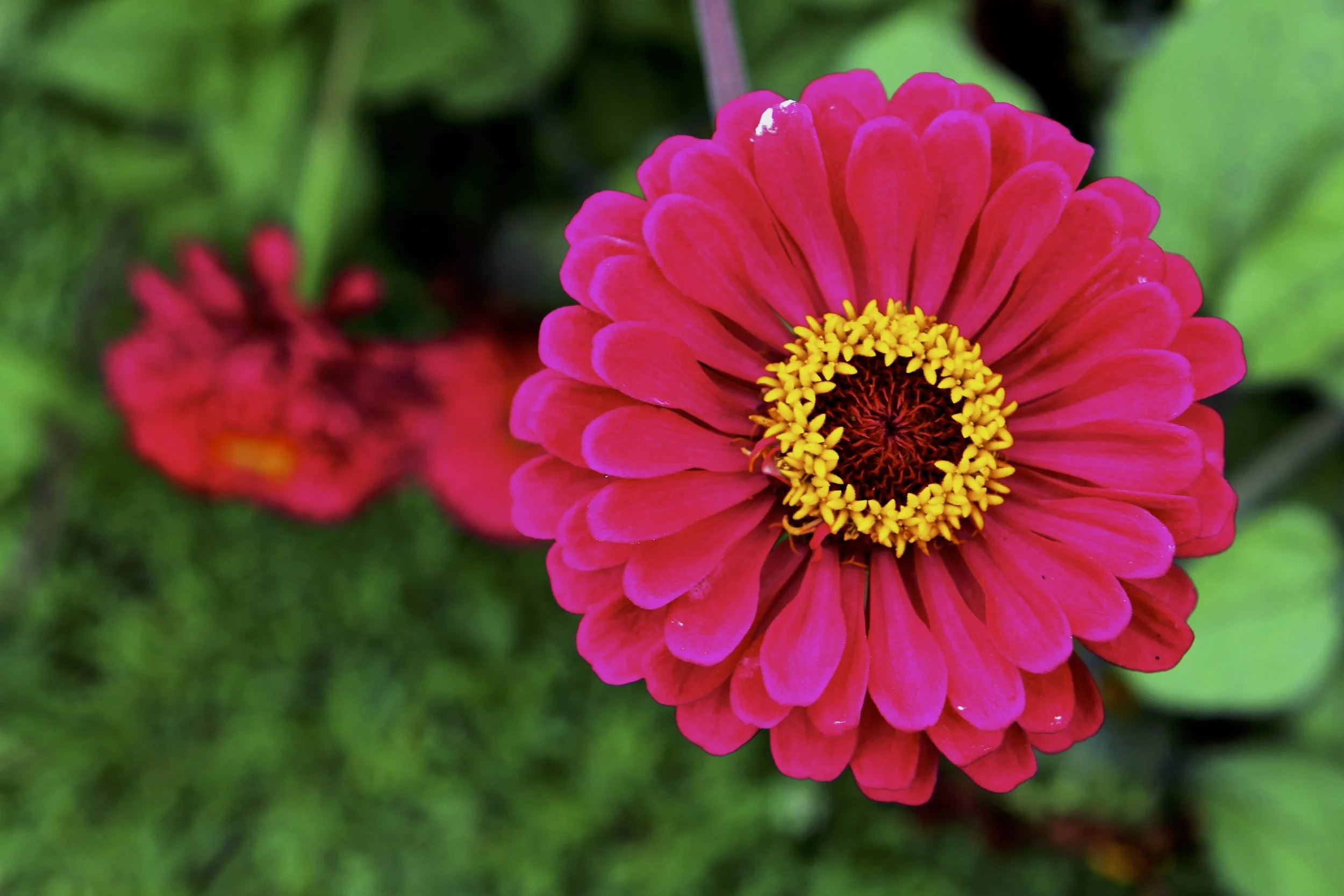 TS Clay Photography9.jpg