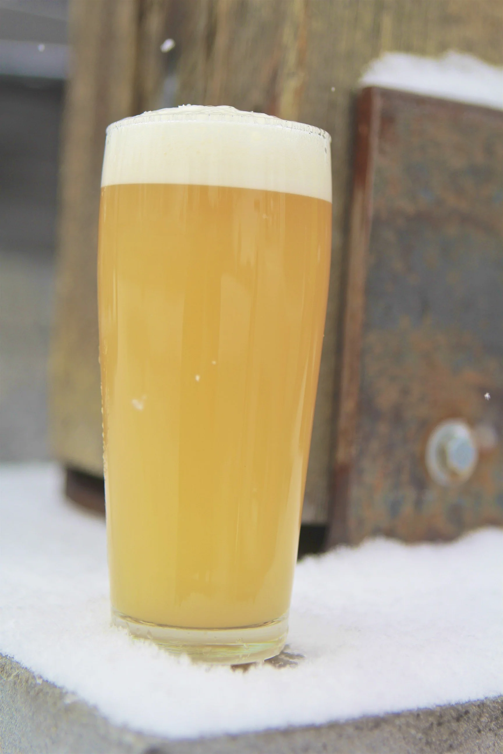 NE IPA _ 3.jpg