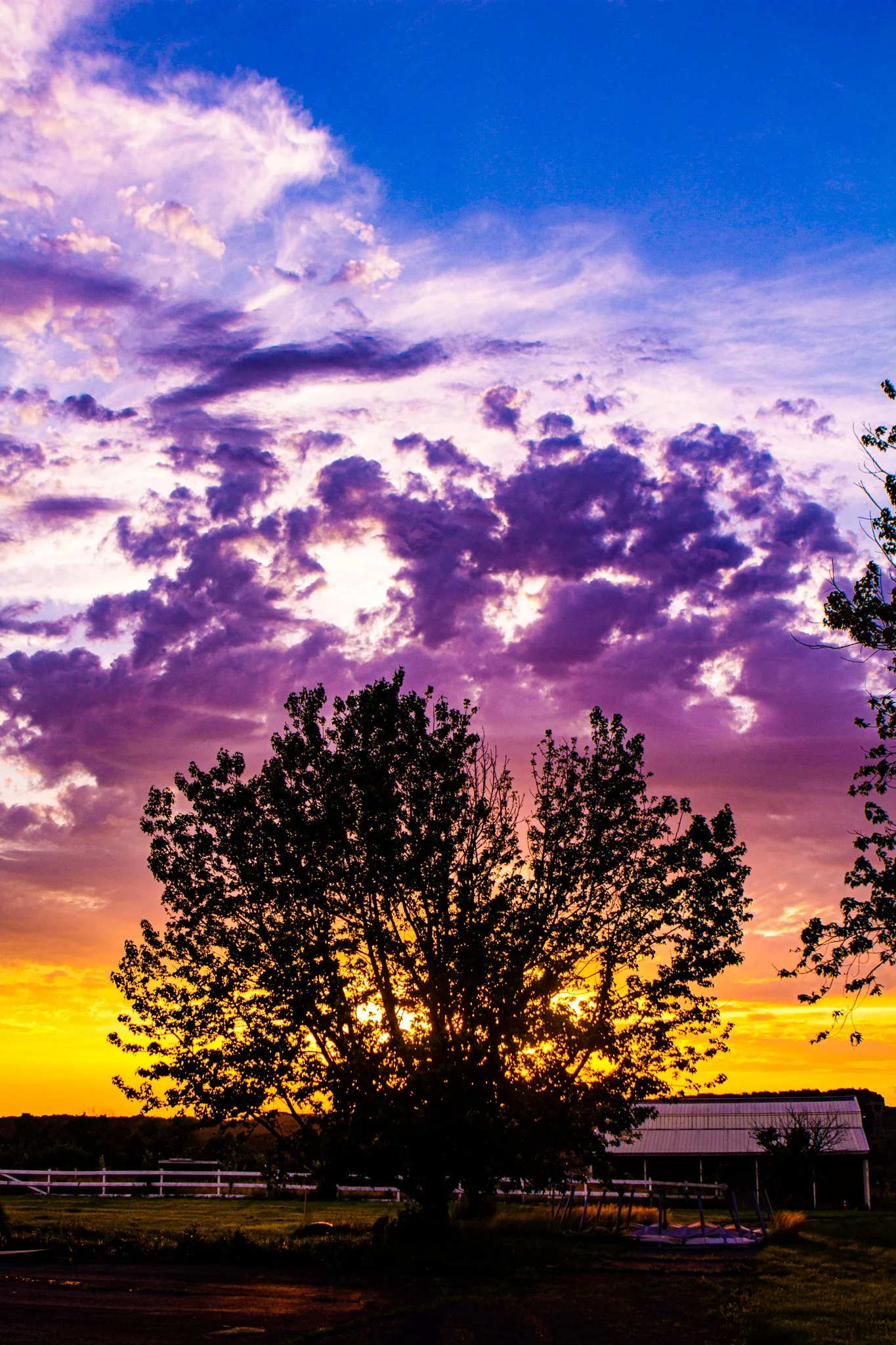 TS Clay Photography_D.jpg