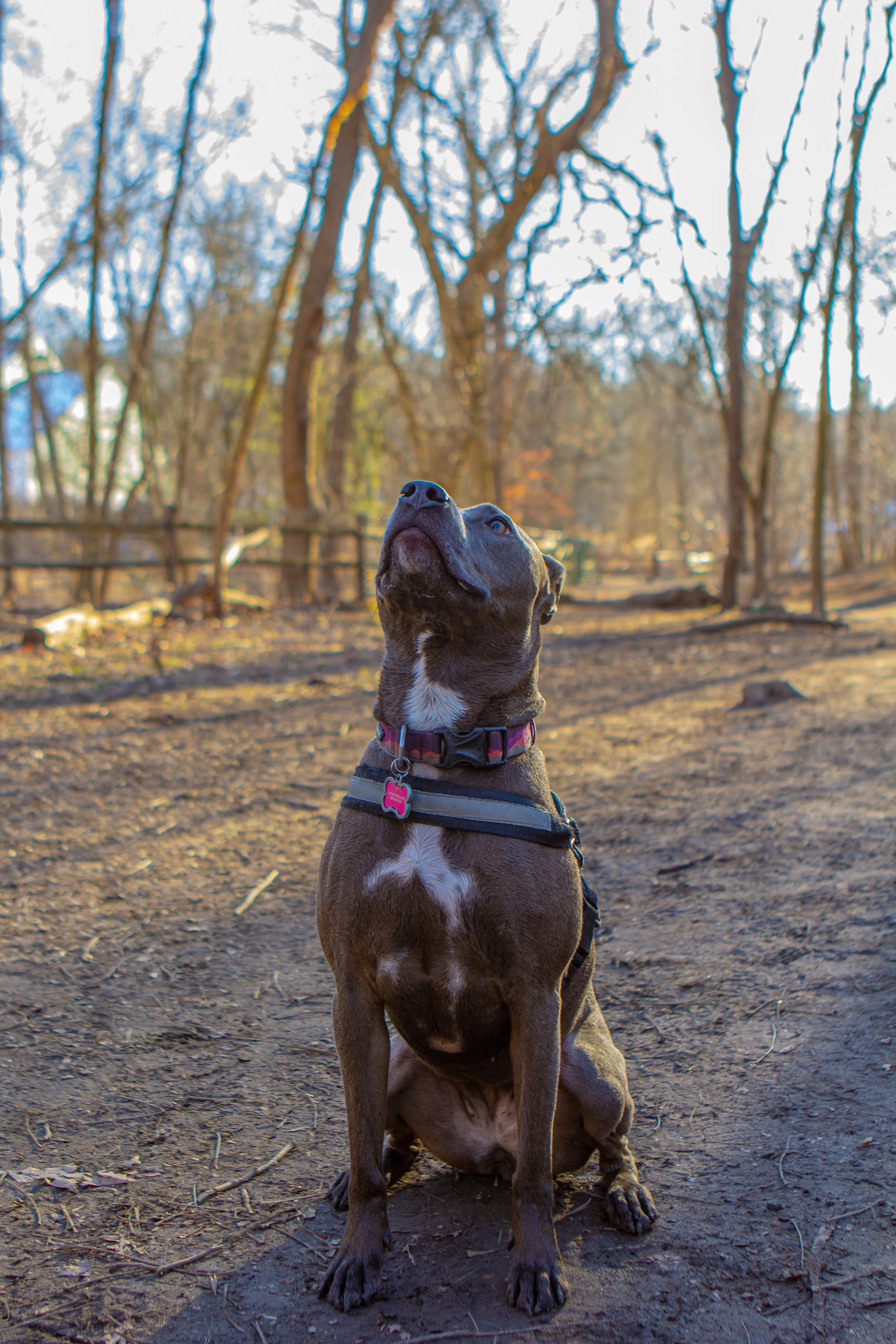 IMG_9987.jpg