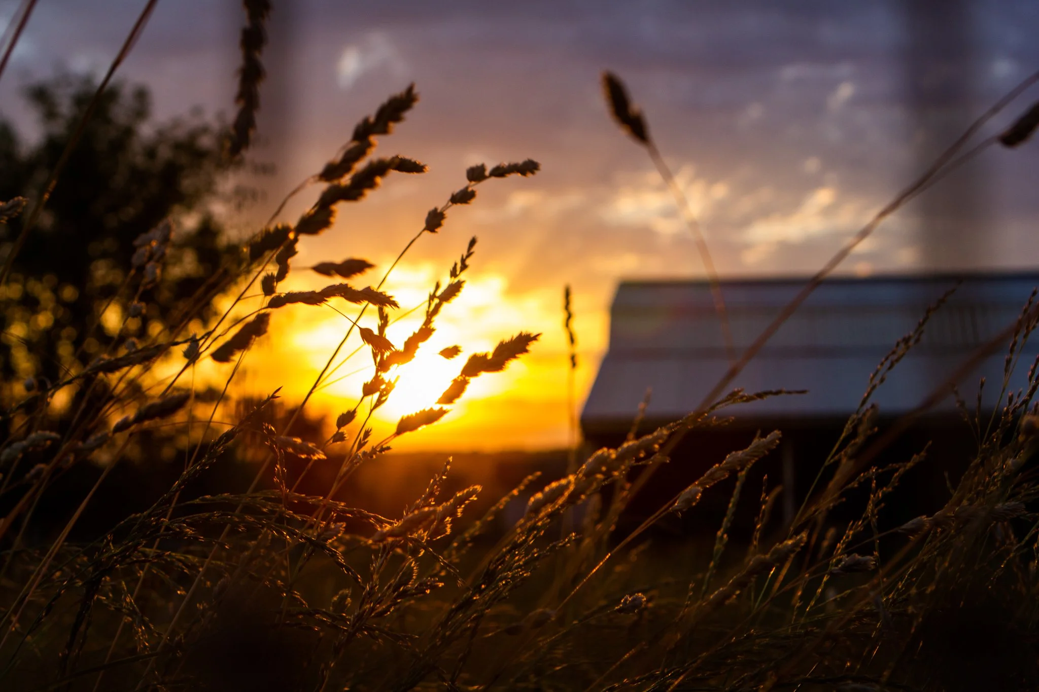TS Clay Photography_C.jpg