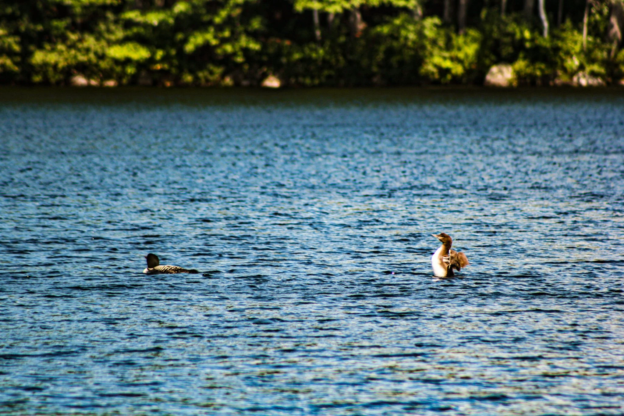 IMG_9633.jpg