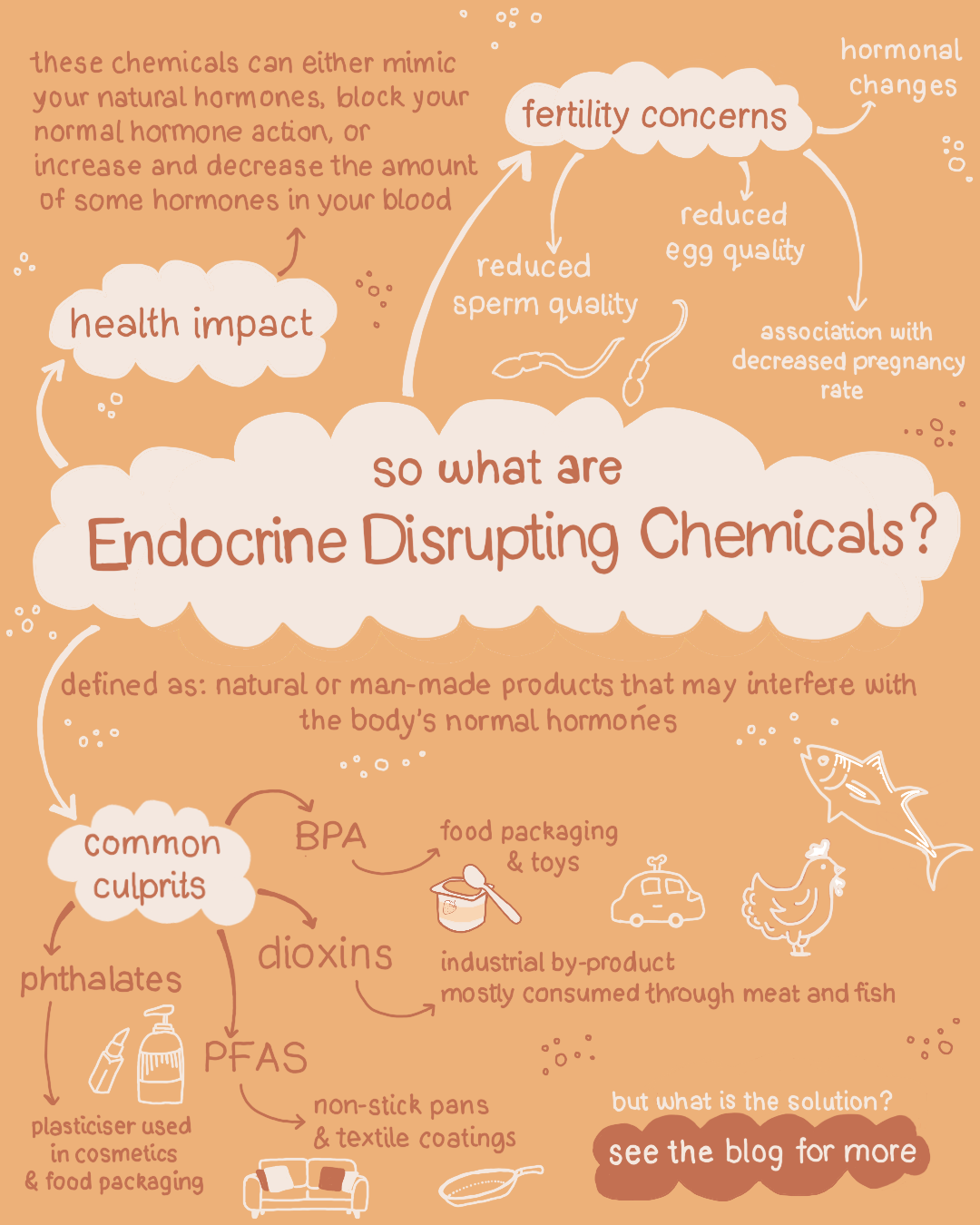 Endocrine Disruptors - what you need to know