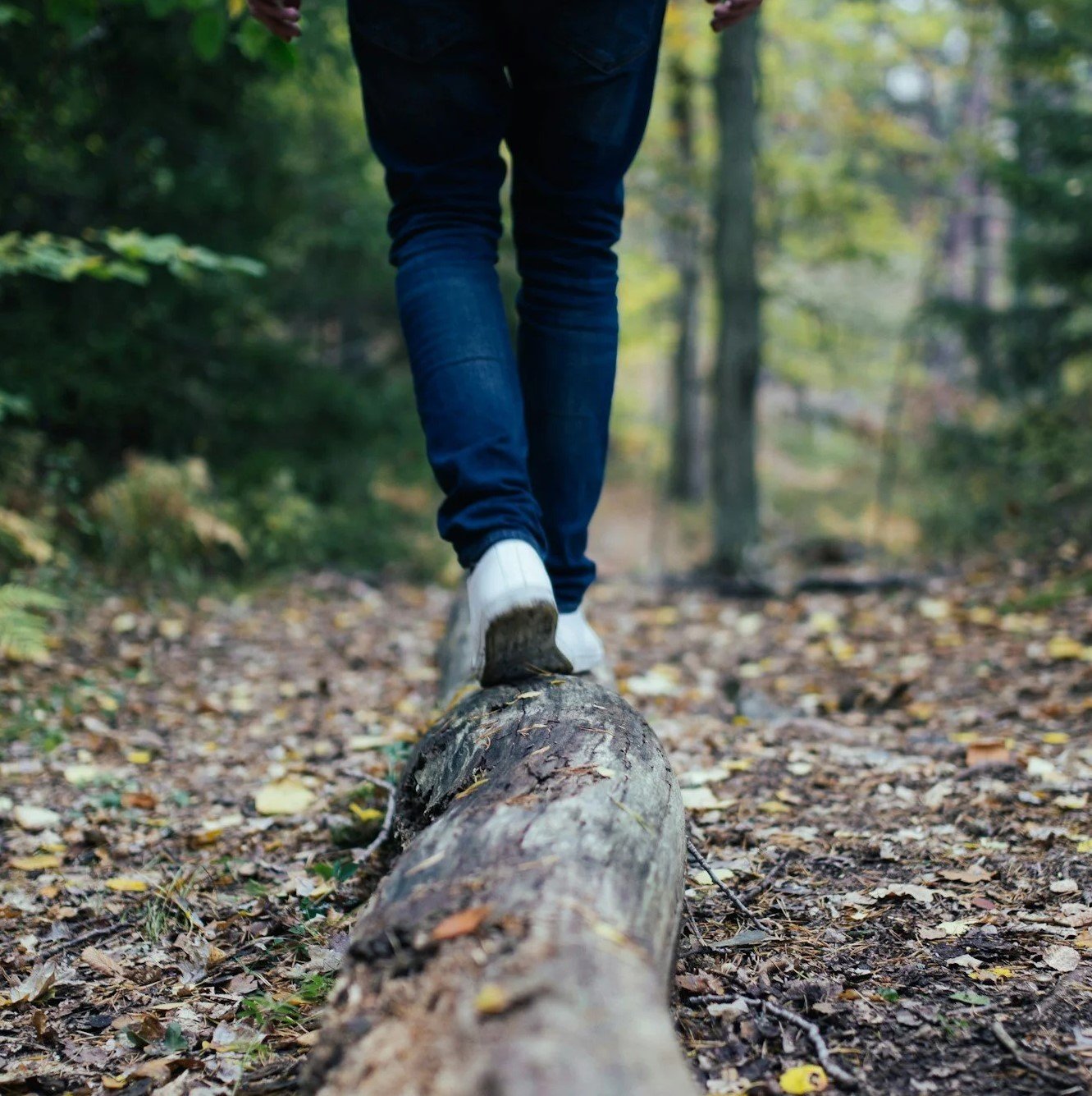 Seasons on the Land: Monthly Walks at Crown Point