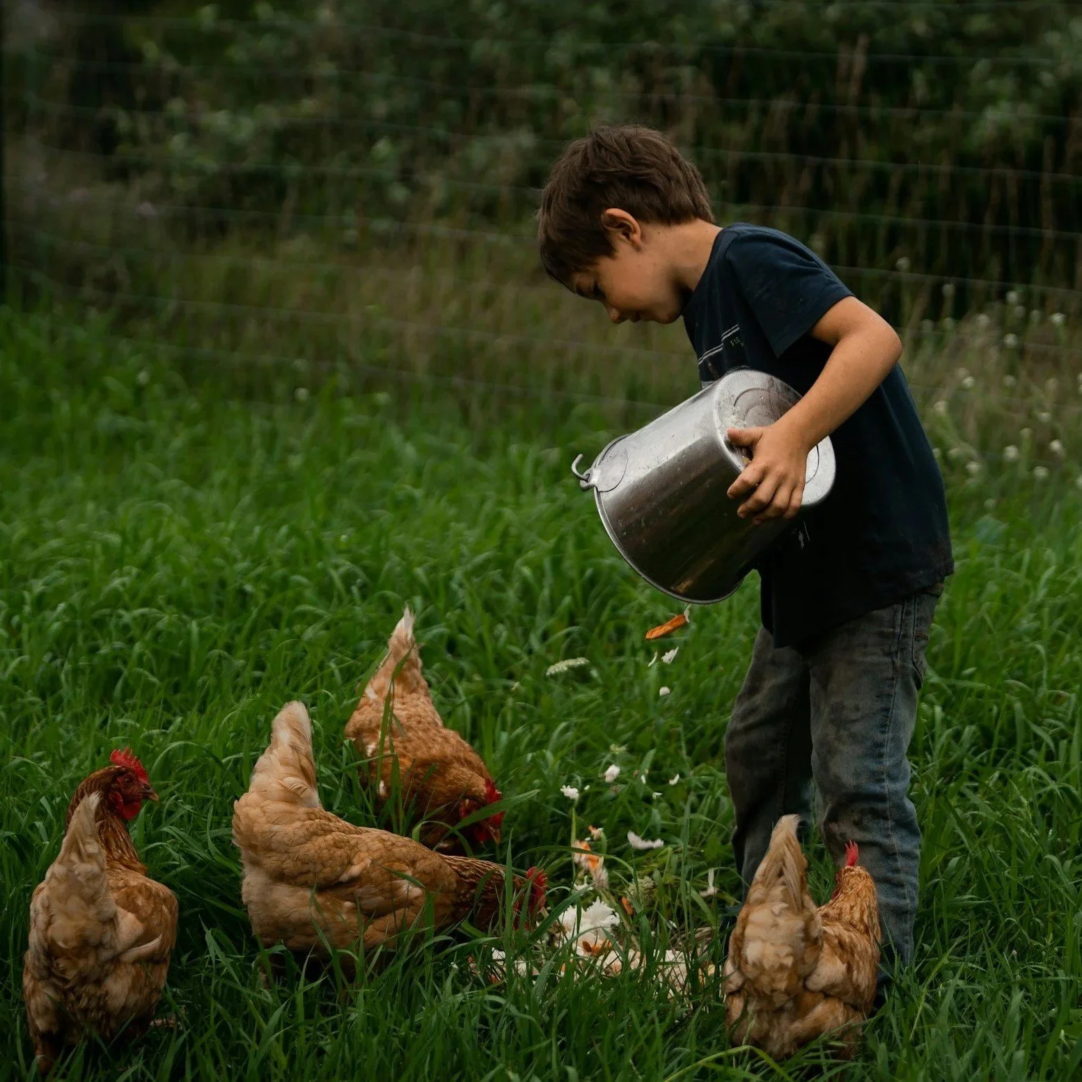 Rise and Shine on the Farm