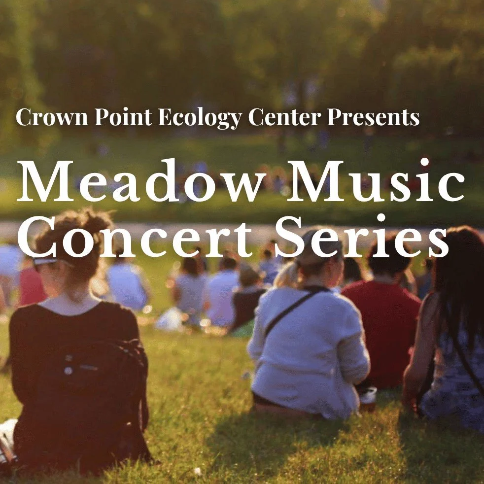 Meadow Music Concert Series - Swizzle Stick Band