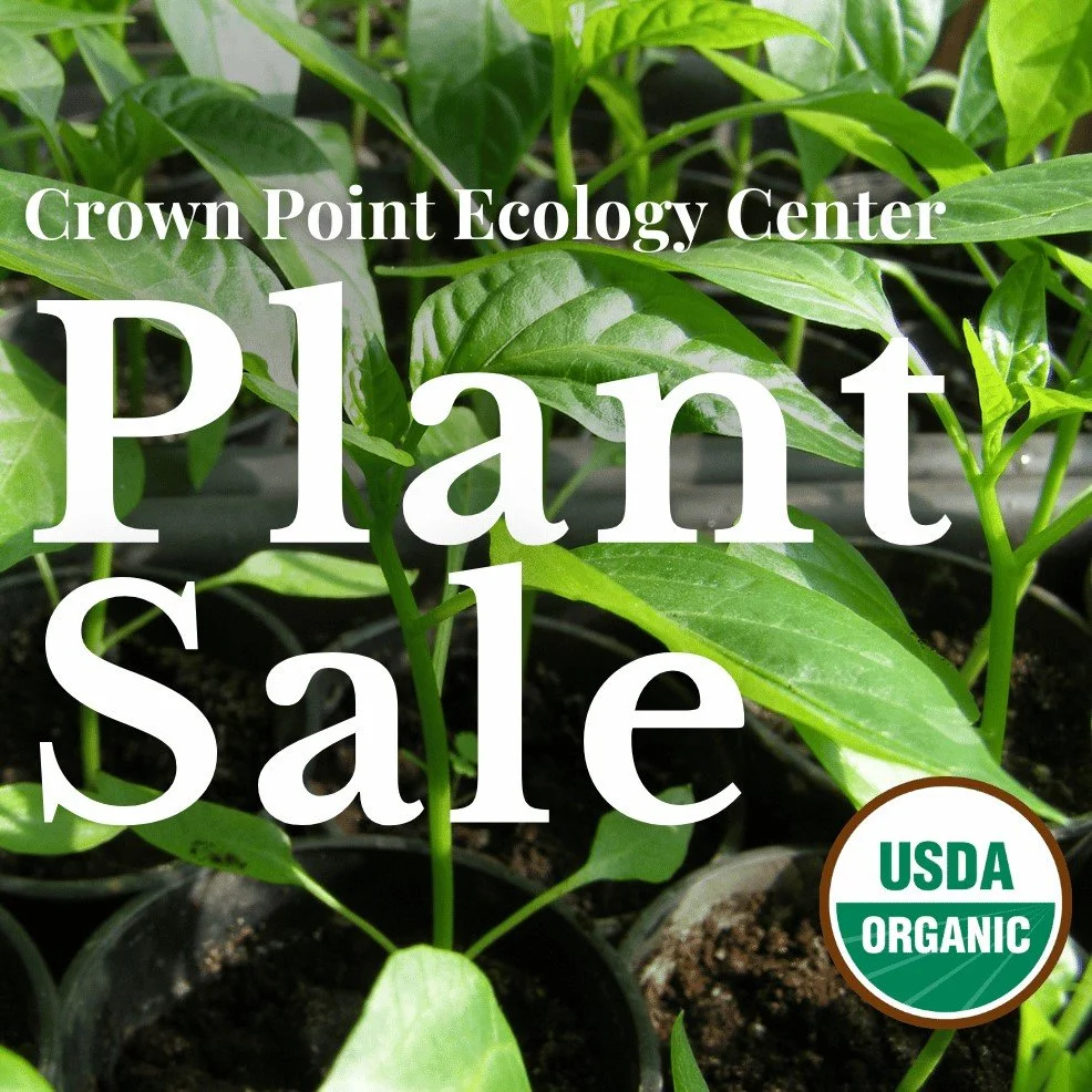 Spring Plant Sale (5/8, 5/9, 5/10)