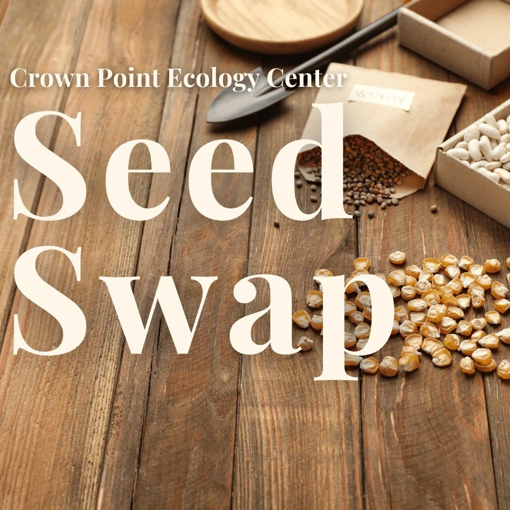 Seed Swap