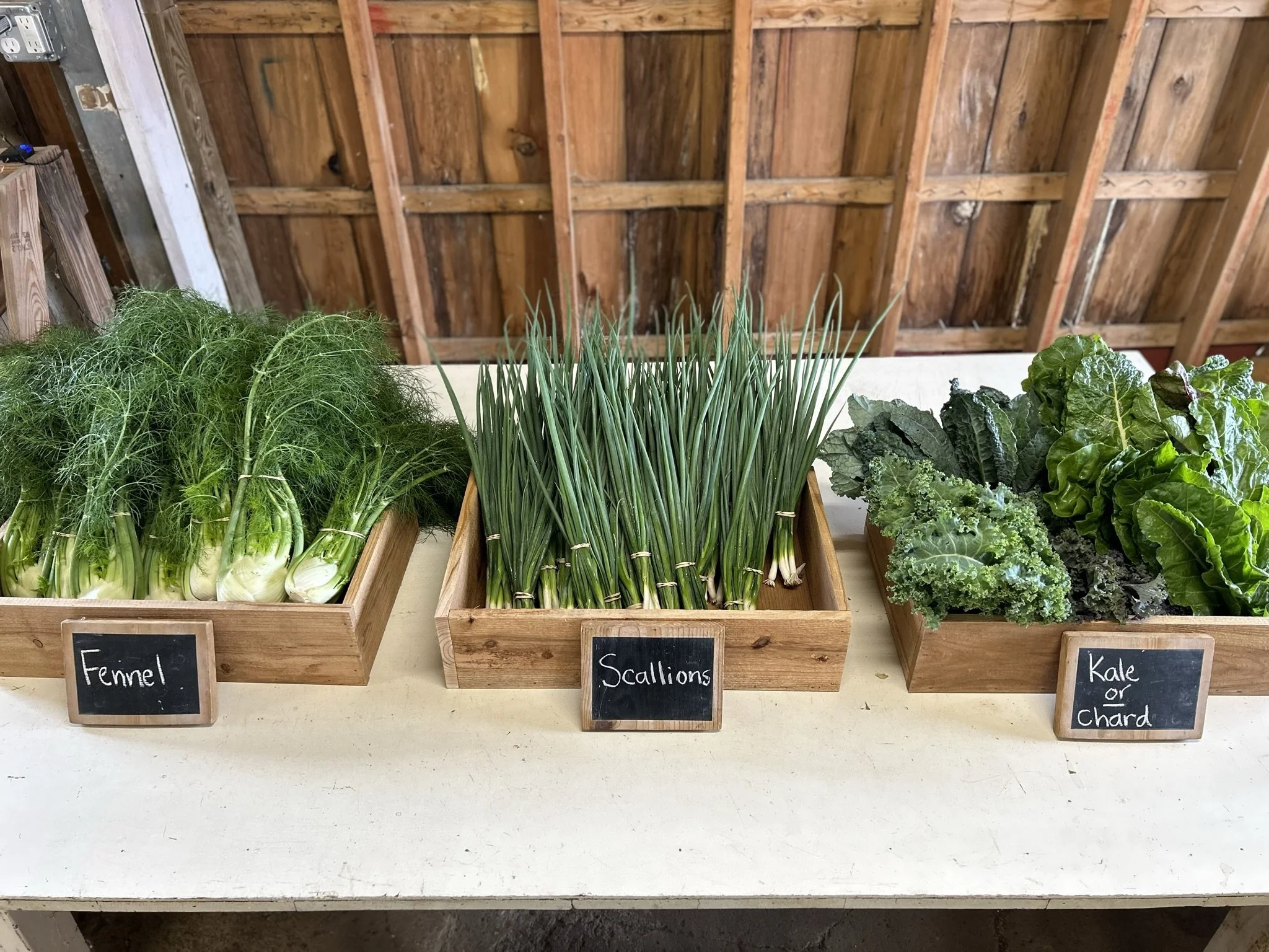 Boxes full of assorted vegetables