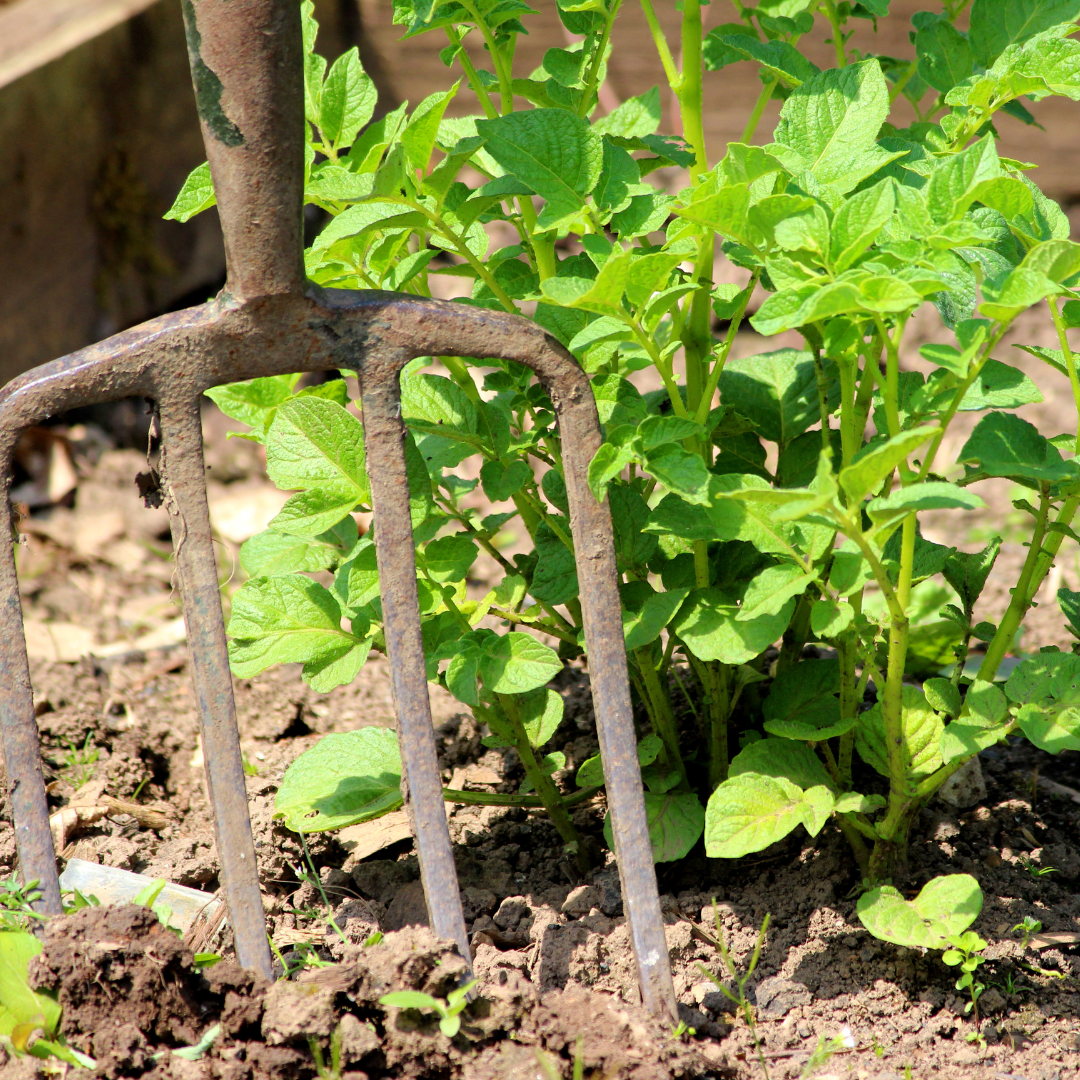 Square Images (33).png