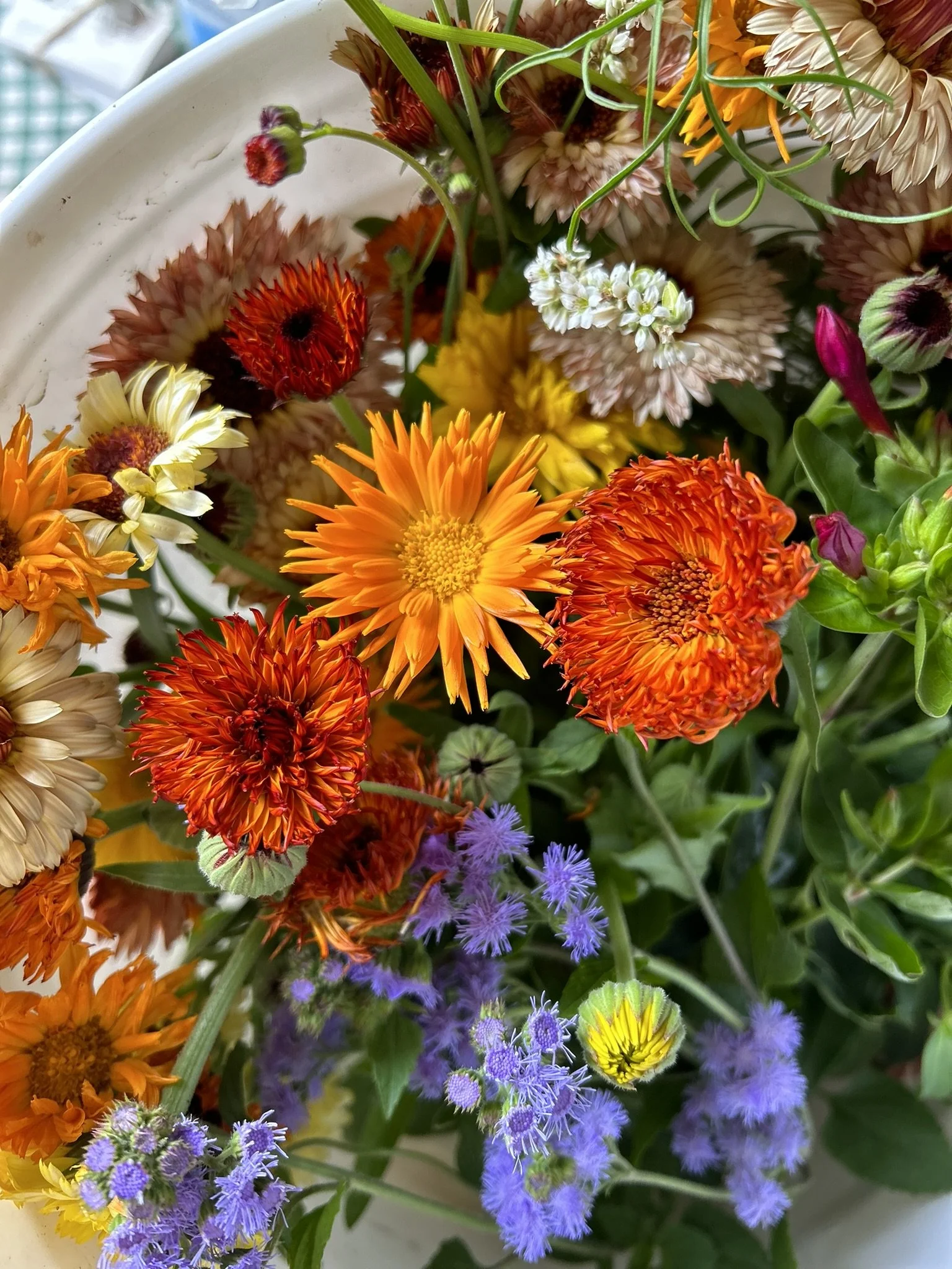 A display of colorful flowers and herbs