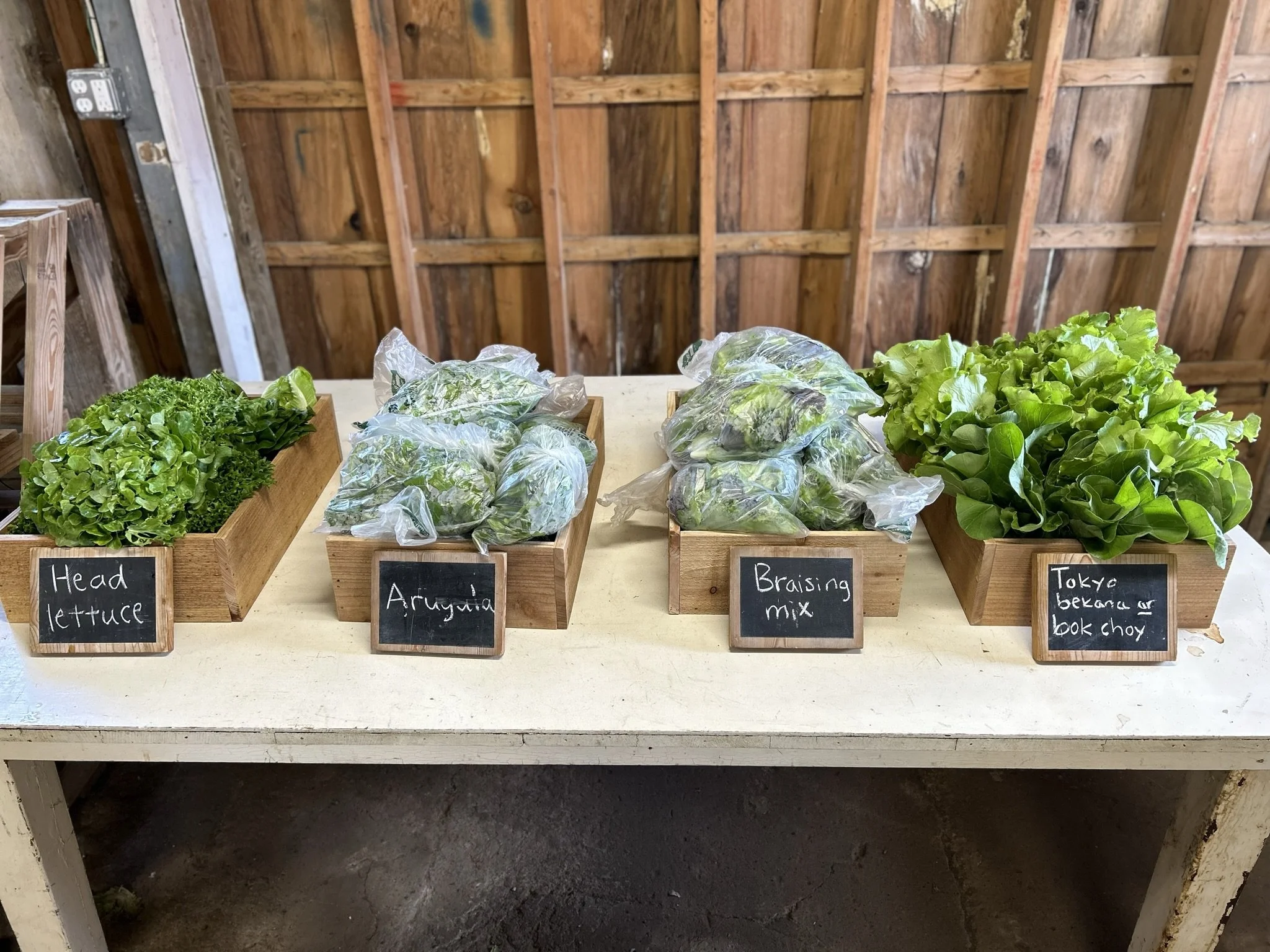 Display of assorted mixed greens in boxes