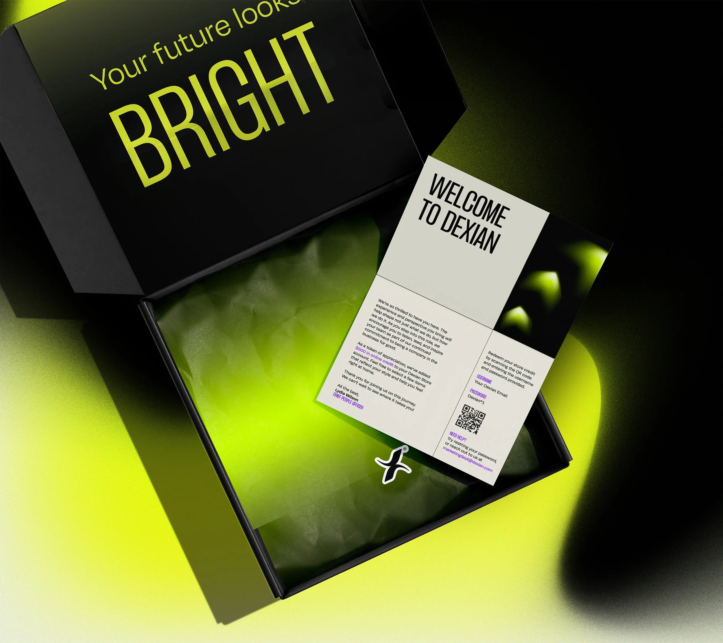 Dexian // Packaging