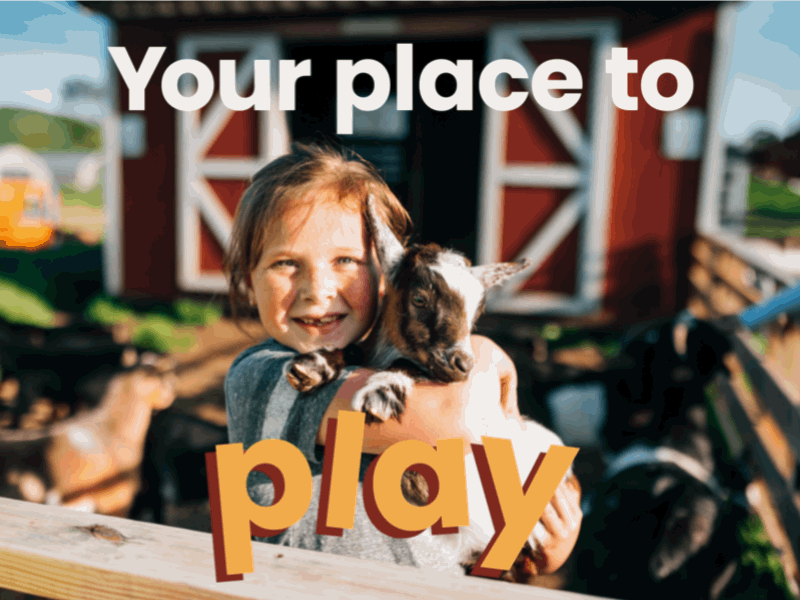 Sherman Farm // Campaign and Experience