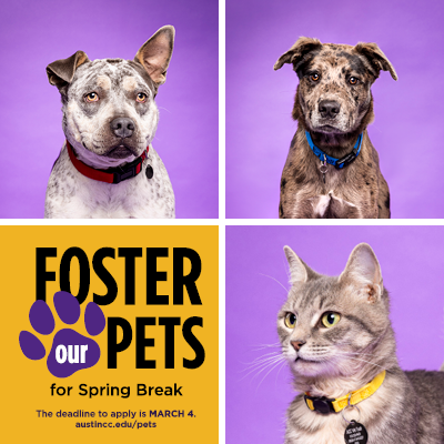 SP24_FosterPets_Spotlight_400x400.png