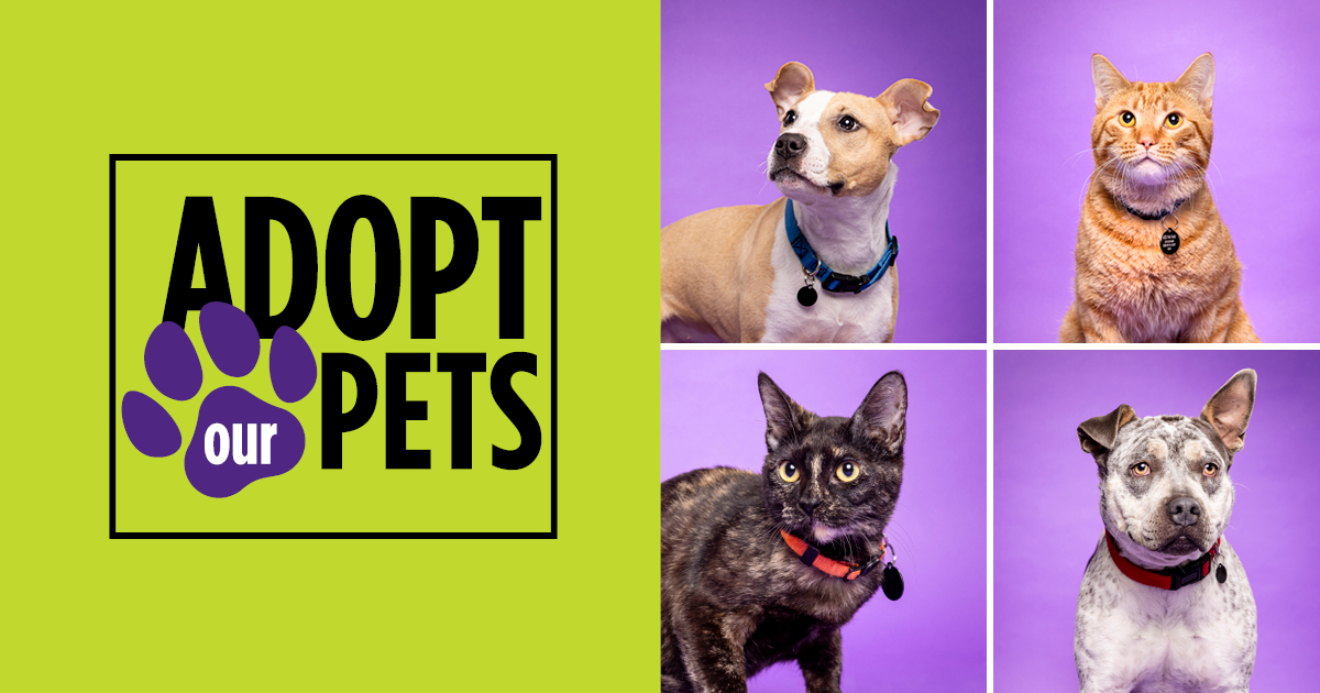 SP24_AdoptPets_1200 x 630.png