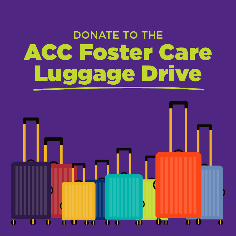 SP24_FosterLuggageDrive_Echo_800 x 800.png