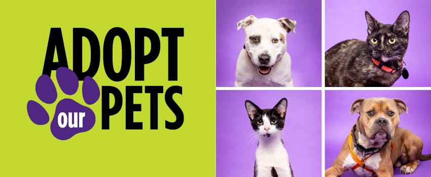 SP24_AdoptPets_850 x 350.png