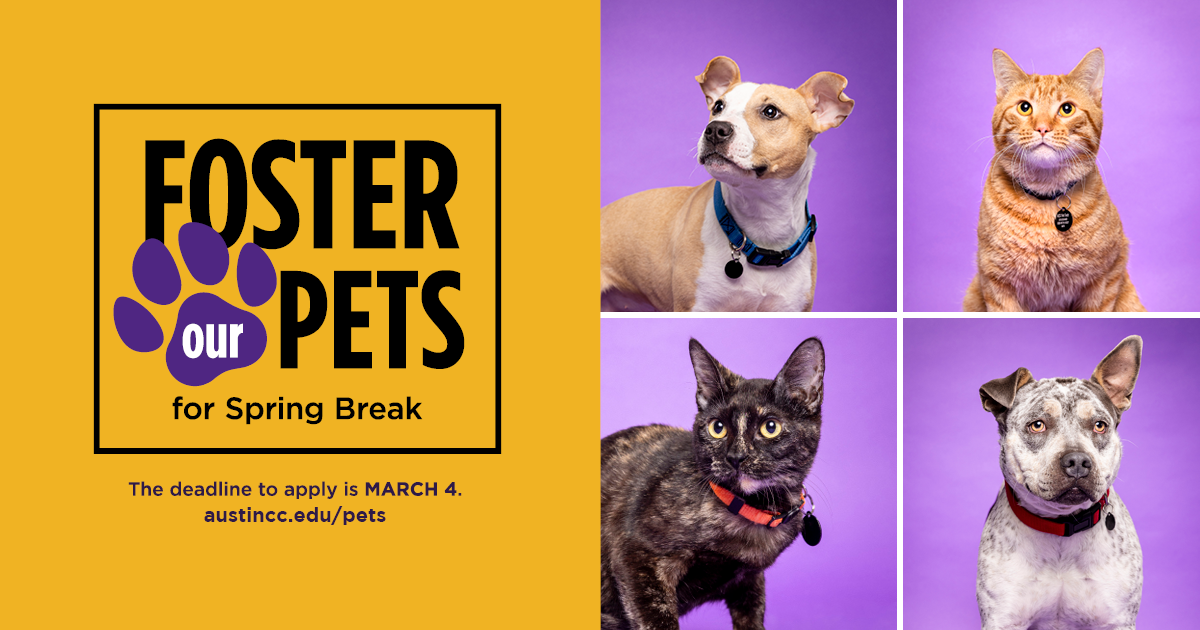 SP24_FosterPets_FB_1200x630.png