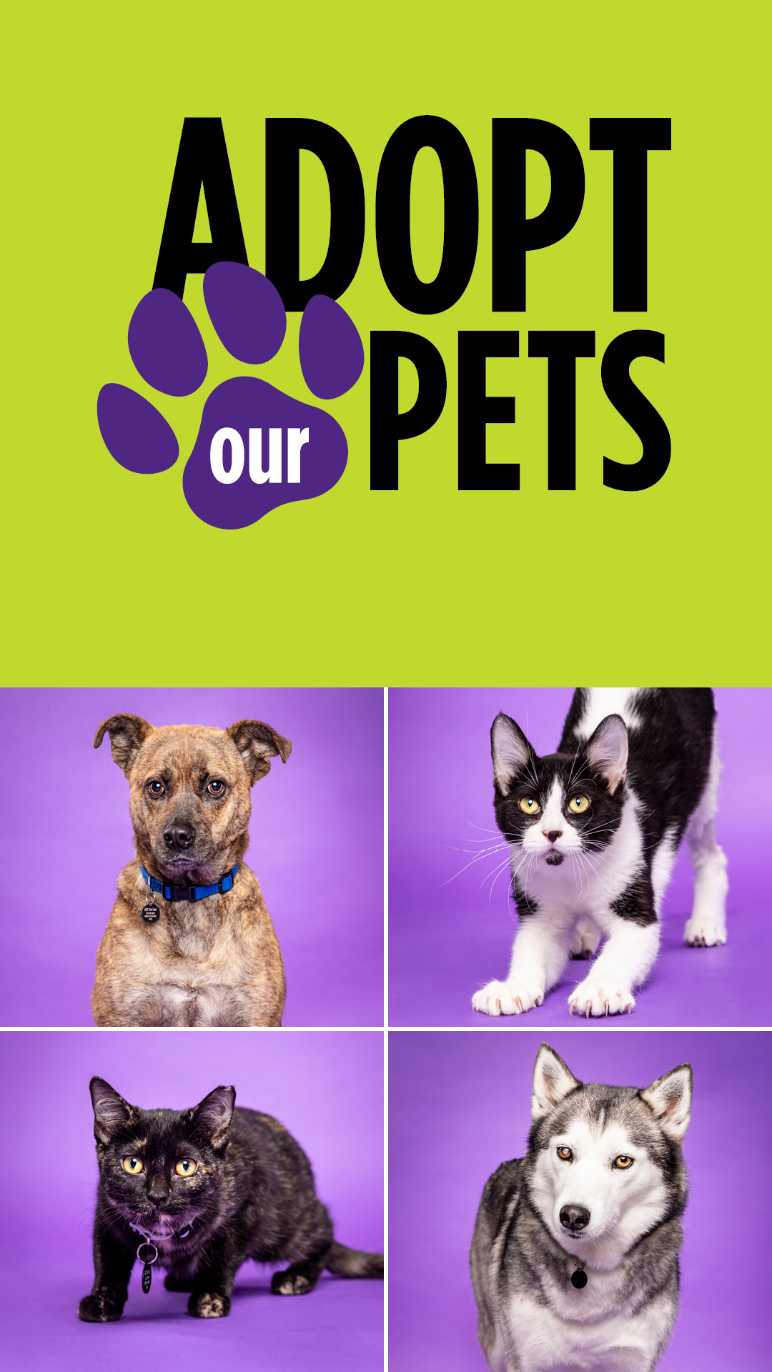 SP24_AdoptPets_1080 x 1920.png