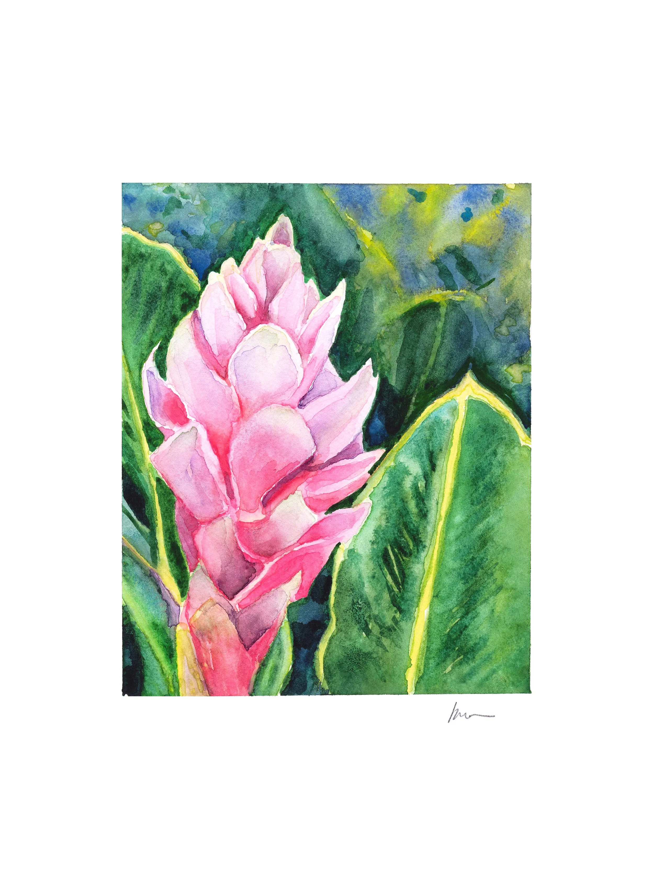 Ginger Email (1).jpeg