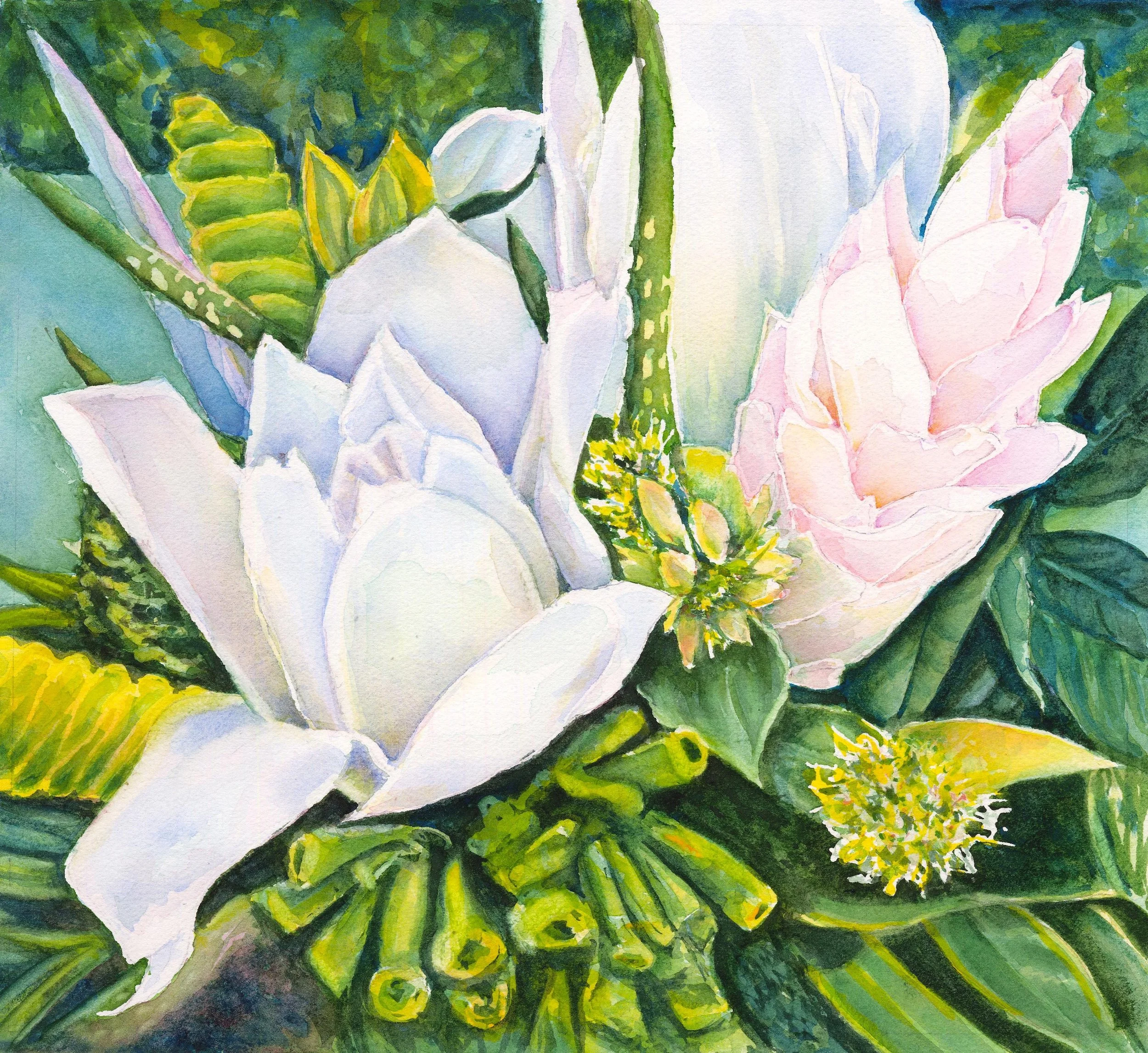 Pink Ginger CRC1 Email.jpeg