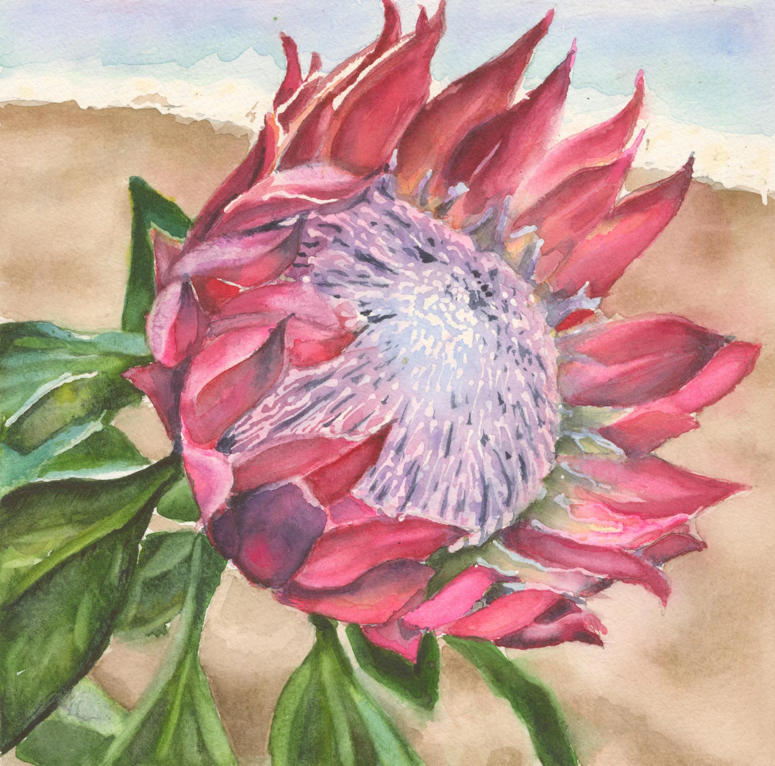 Passion Flower Open CRC0.jpg