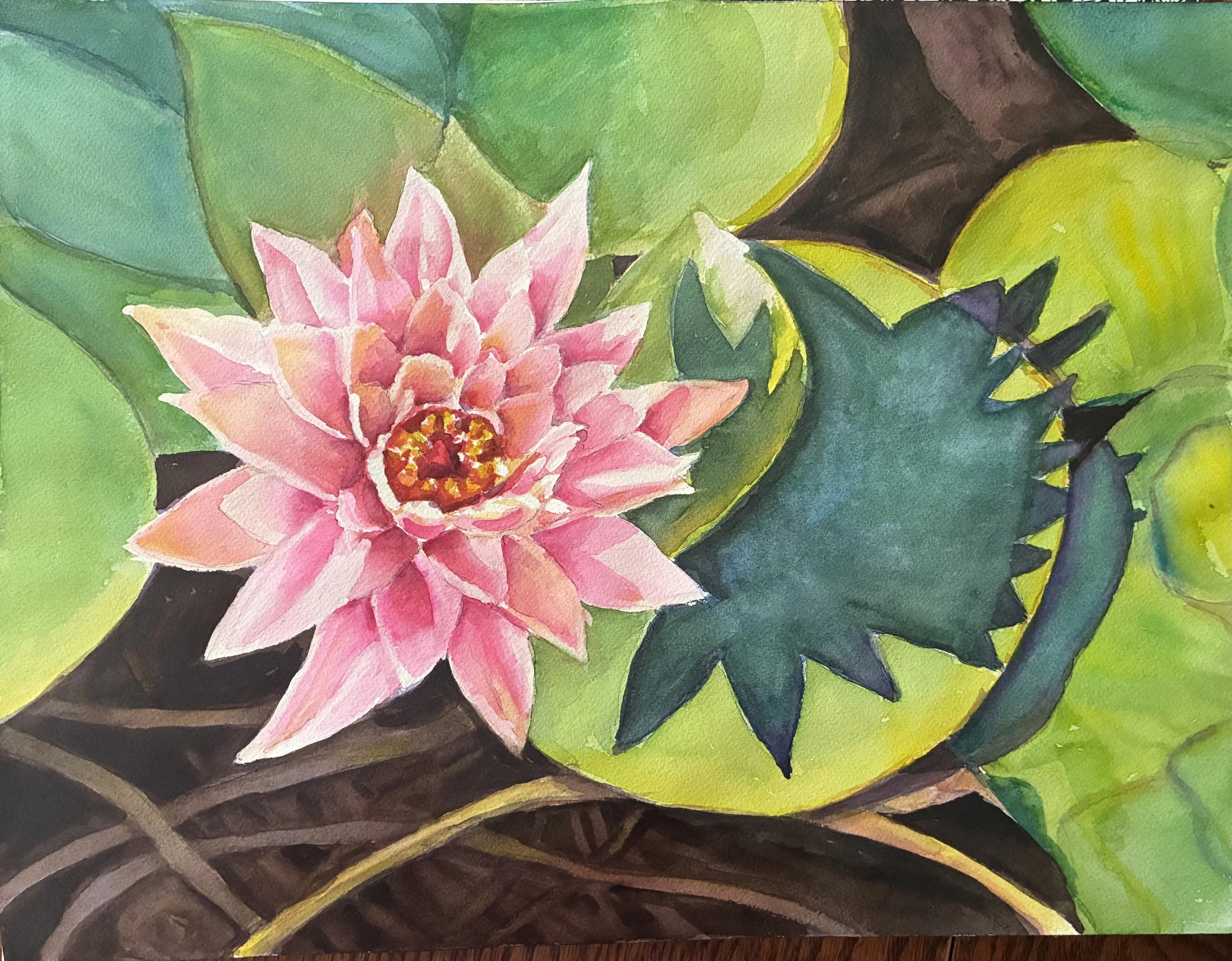 Water Lily