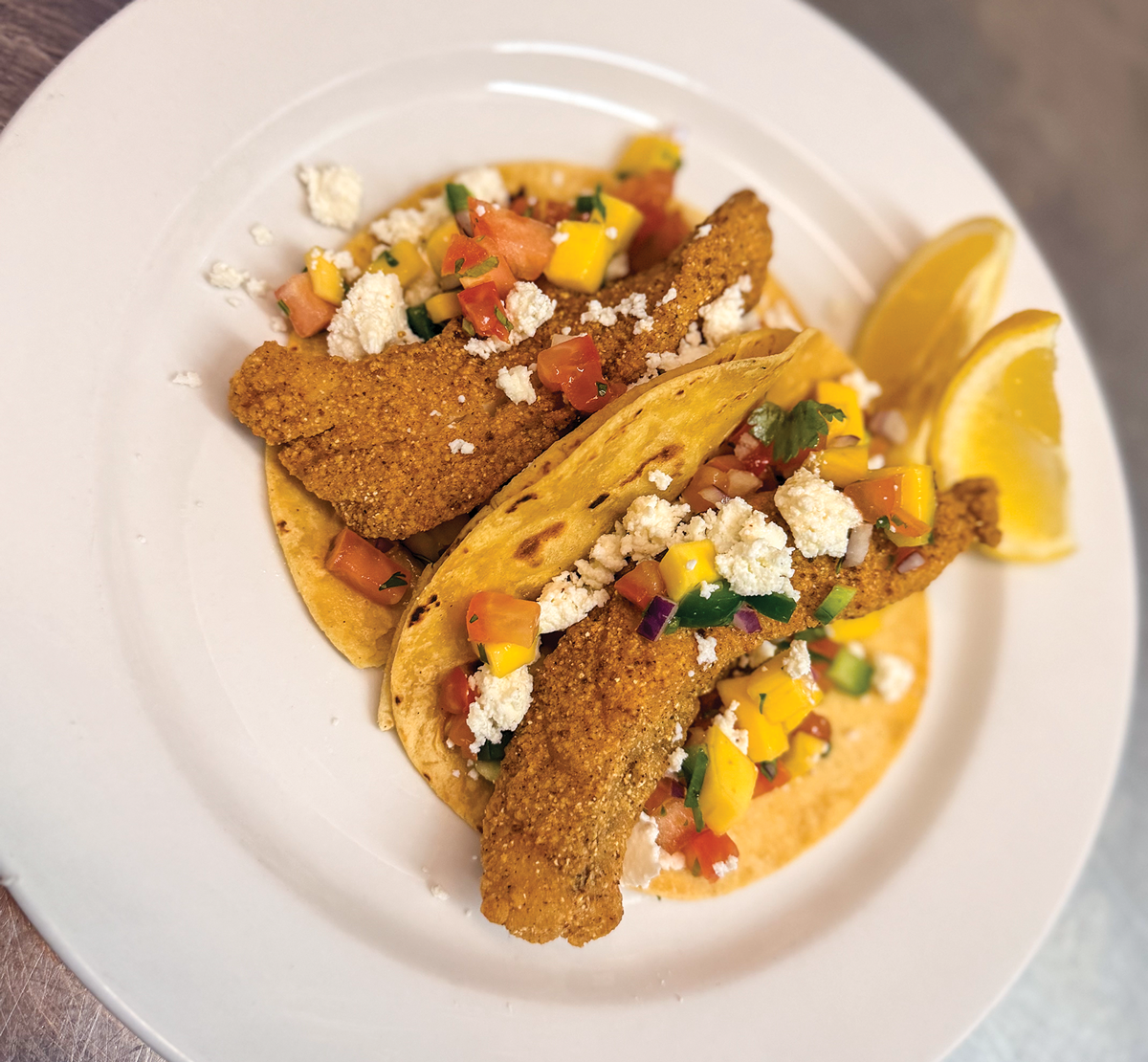 El Pez Gato at Lost Coast Brewery