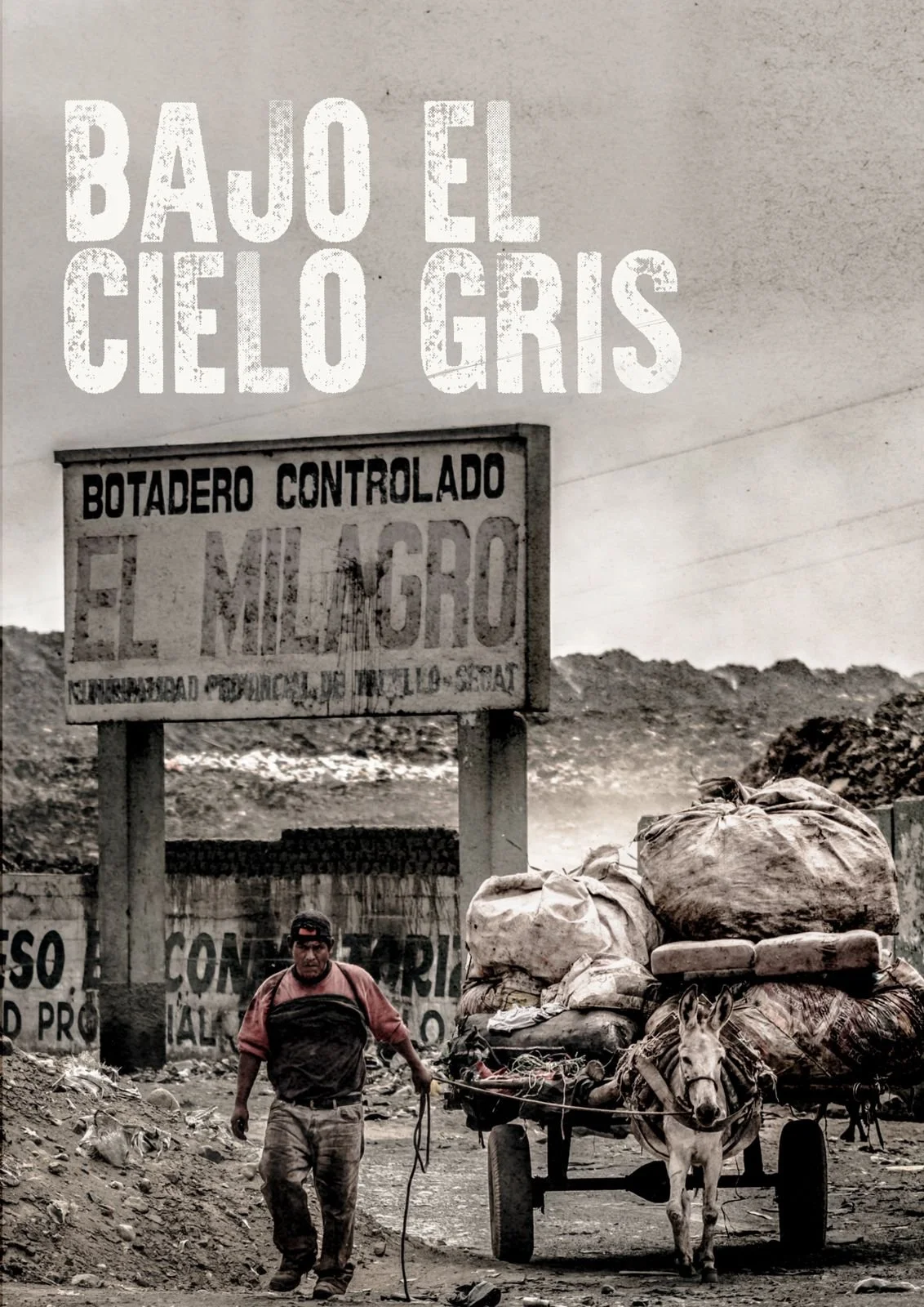 WhatsApp Image 2024-02-27 at 18.13.46.jpeg