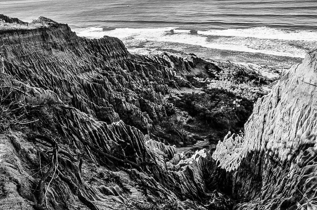 Canva-Closeup-pattern-of-torrey-pine-eroded-sandstone-cliffs-on-coast-in-La-Jolla-by-San-Diego-1024x678.jpg