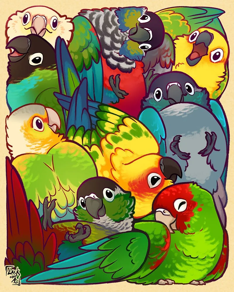 Cuddle Puddle: Conures