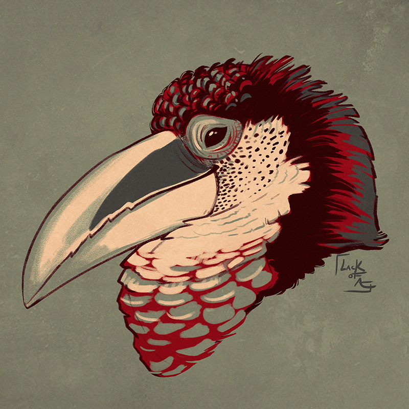palettechallenge_curlcrestedaricari.png
