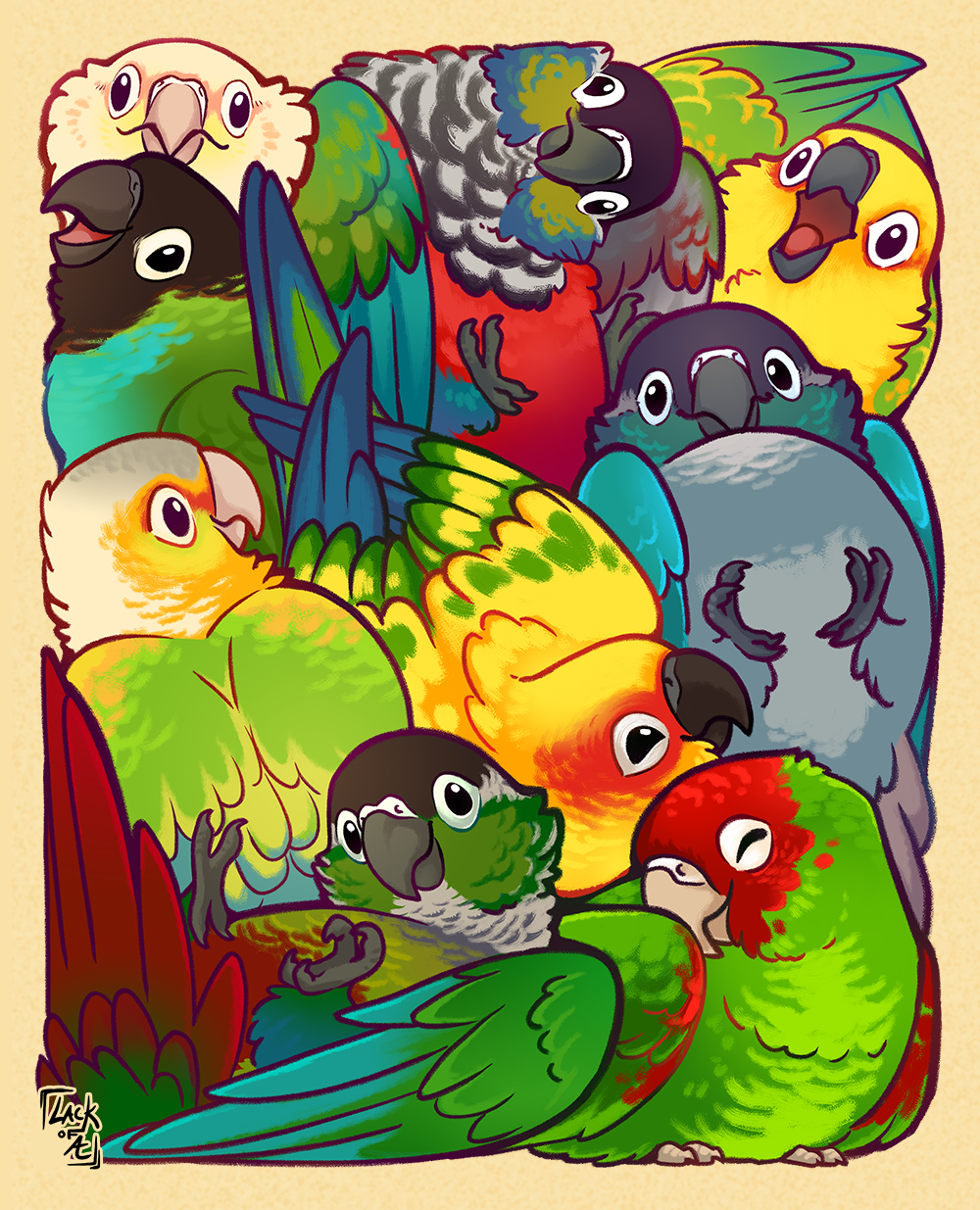 cuddlepuddle_conures.png