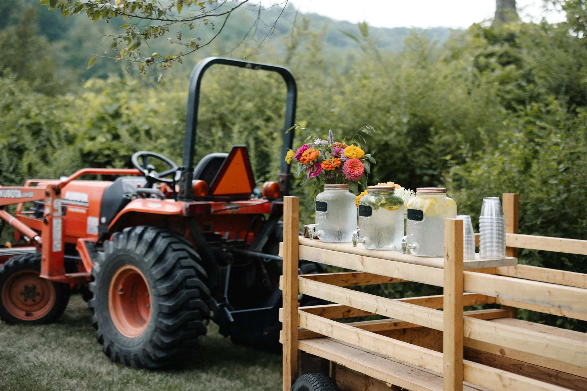 Photographer: Heidi Peinthor 