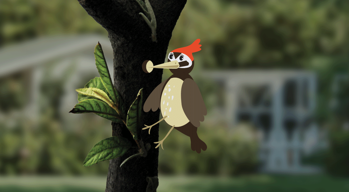 woodys-mascot-animation-eating-4.gif