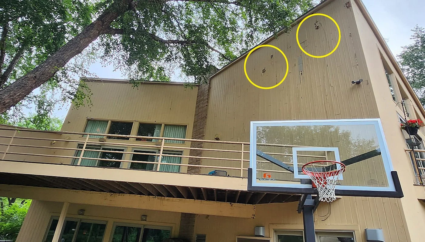 Upper part of a beige multi-story house with a basketball hoop attached to the exterior wall; three holes circled in yellow on the wall show extensive woodpecker damage.
