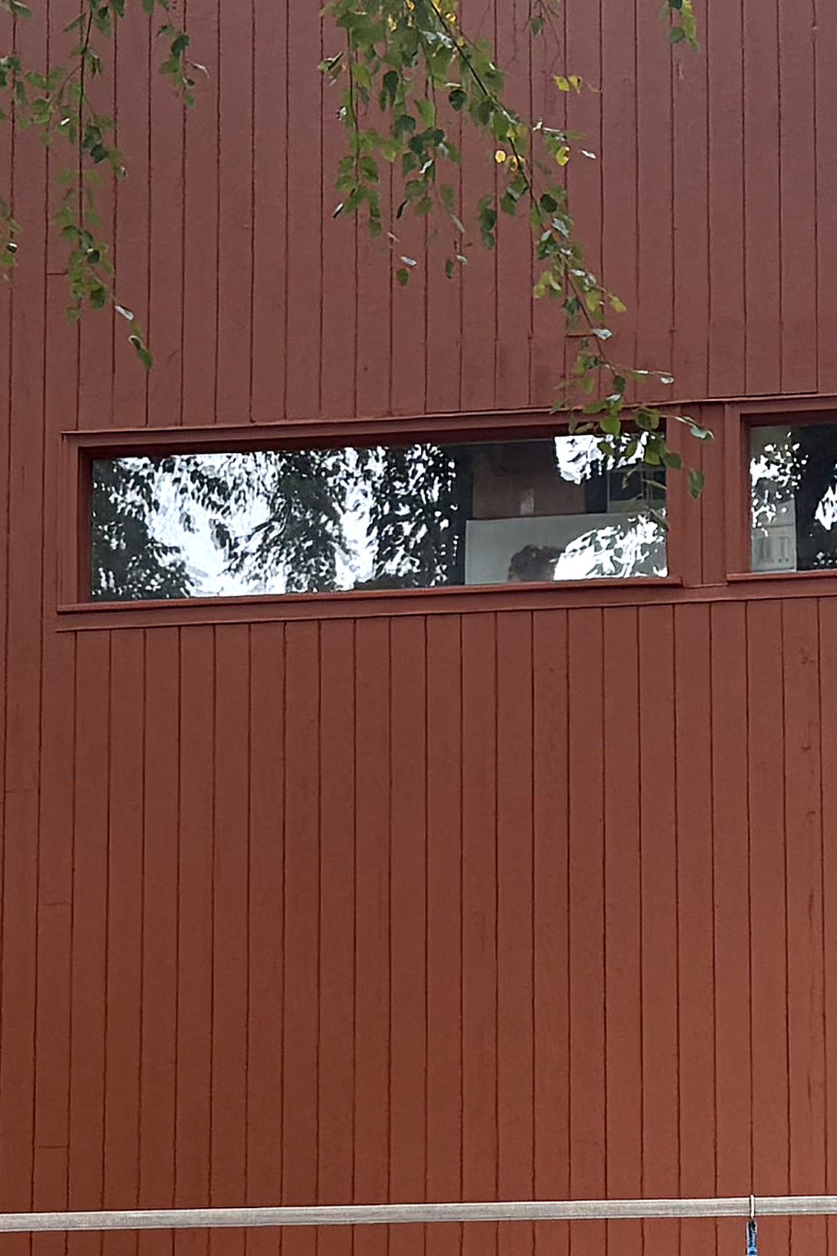 Exterior of a building with red vertical siding, featuring a horizontal rectangular window reflecting trees and sky, with some branches and leaves hanging in the foreground.