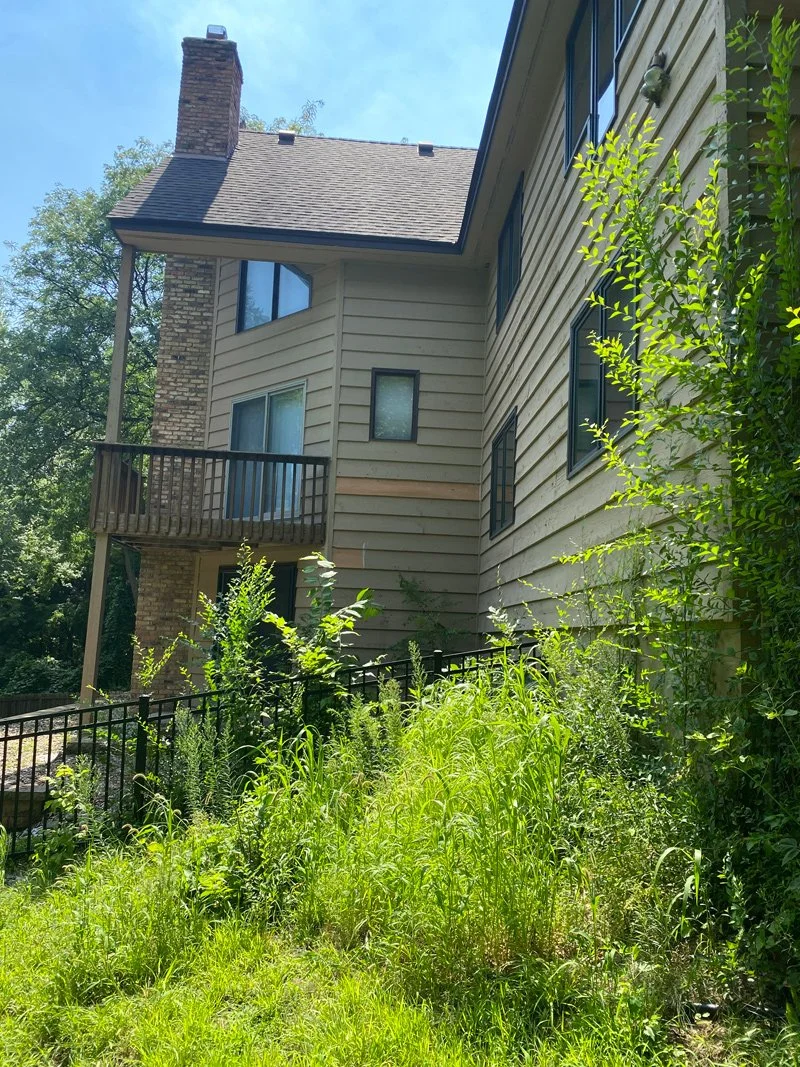 A beige house with wooden siding, multiple windows, a brick chimney, and a small balcony on the second floor. Overgrown grass and bushes are in the backyard, with sunlight shining and a partly cloudy sky.