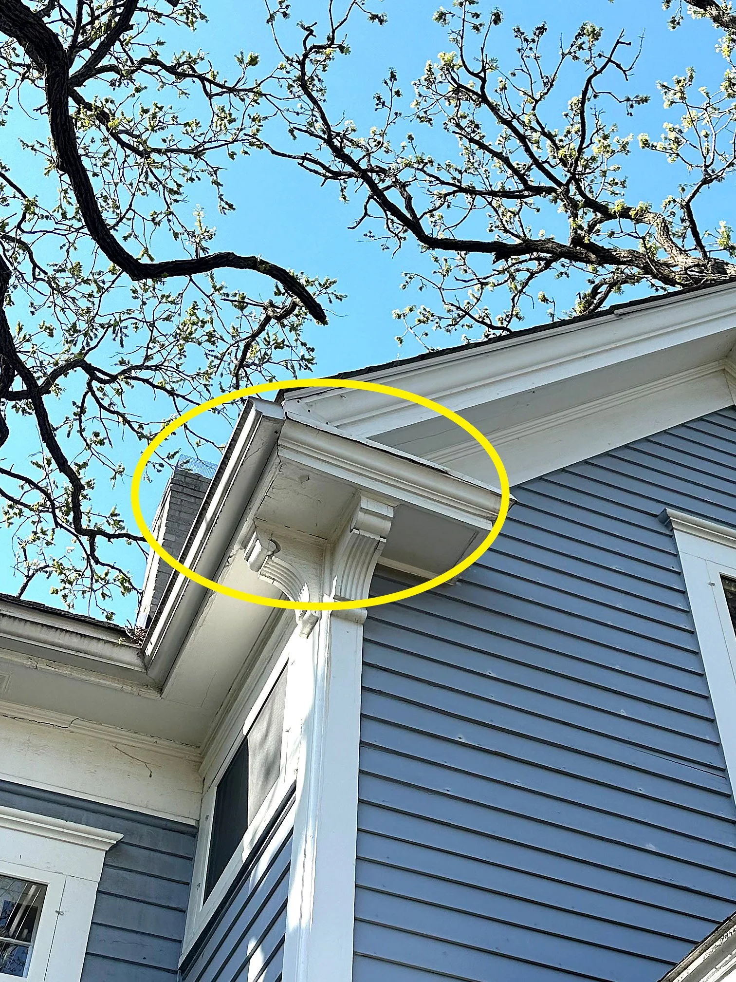 Close-up of the corner of a blue house with grey siding, showing damaged white soffit and a decorative corbel beneath the roofline, with branches and a clear blue sky in the background.