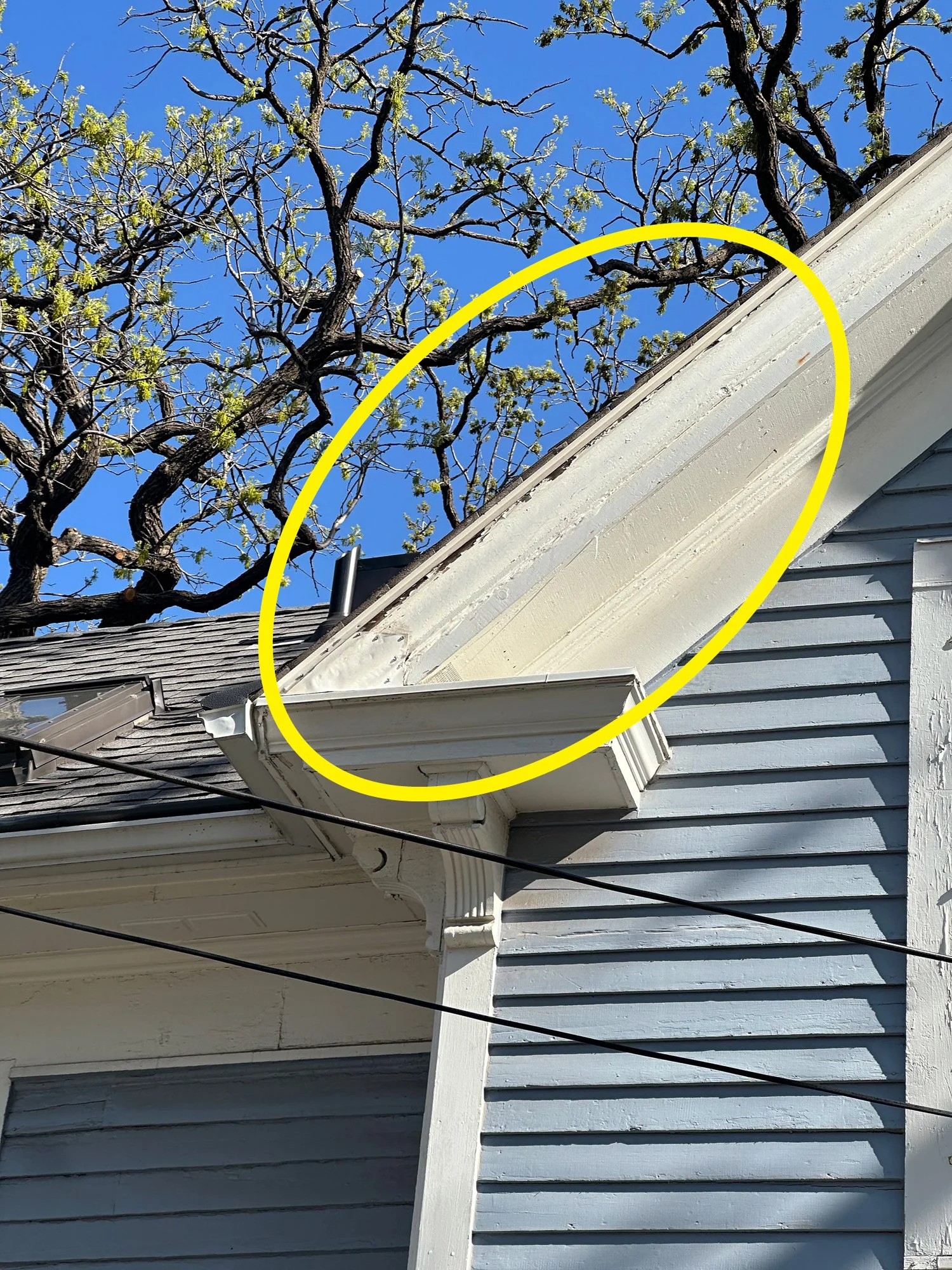 Close-up of house's roof with a section of damaged or deteriorated siding, circled in yellow, with a tree with budding leaves in the background and a clear blue sky.