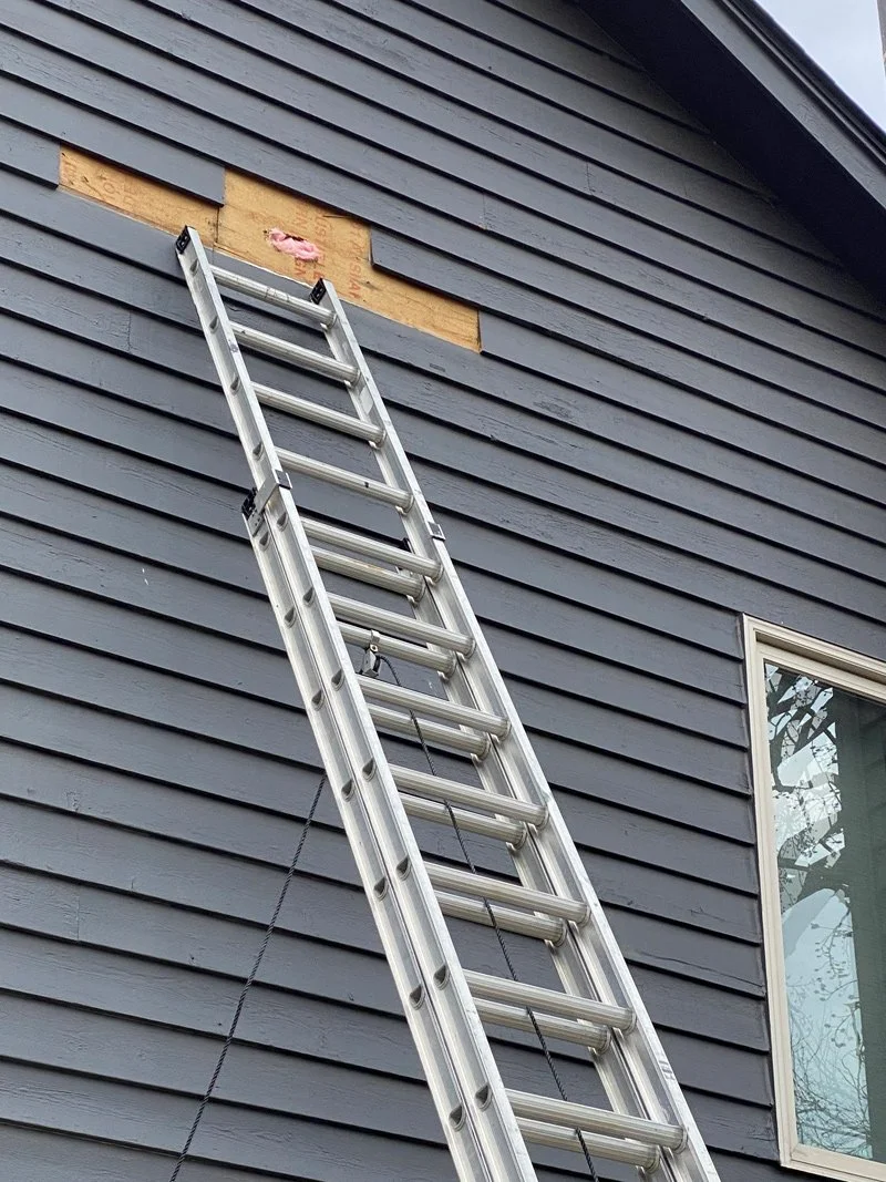 A metal extension ladder leaning against the side of a house with gray horizontal siding. A section of the siding is removed, exposing pink insulation and a piece of plywood behind it. There is a window with a white frame on the right side of the hou