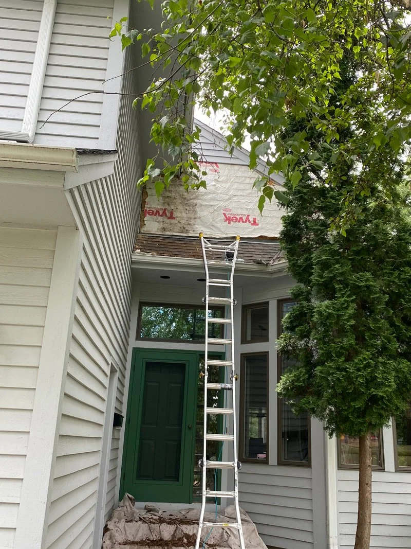 House exterior with white siding, green front door, and a ladder leading to the roof; a tree with green leaves partially obscures the view.