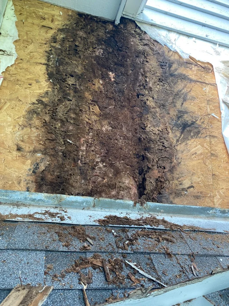 Damage to the siding of a building showing rotted, decayed wood and exposed dirt, indicating possible termite or water damage.