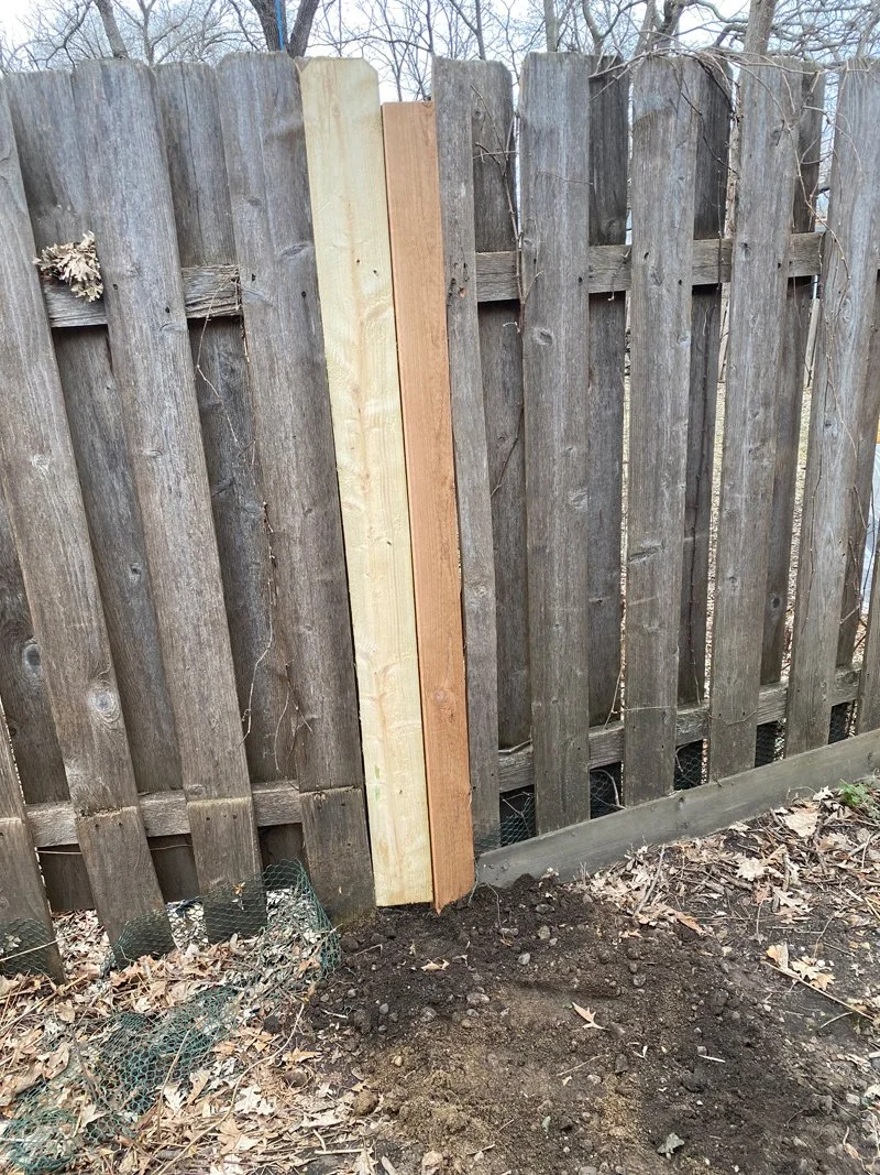 A wooden fence with two new, lighter-colored boards attached among older darker boards showcasing rotten deck repair.