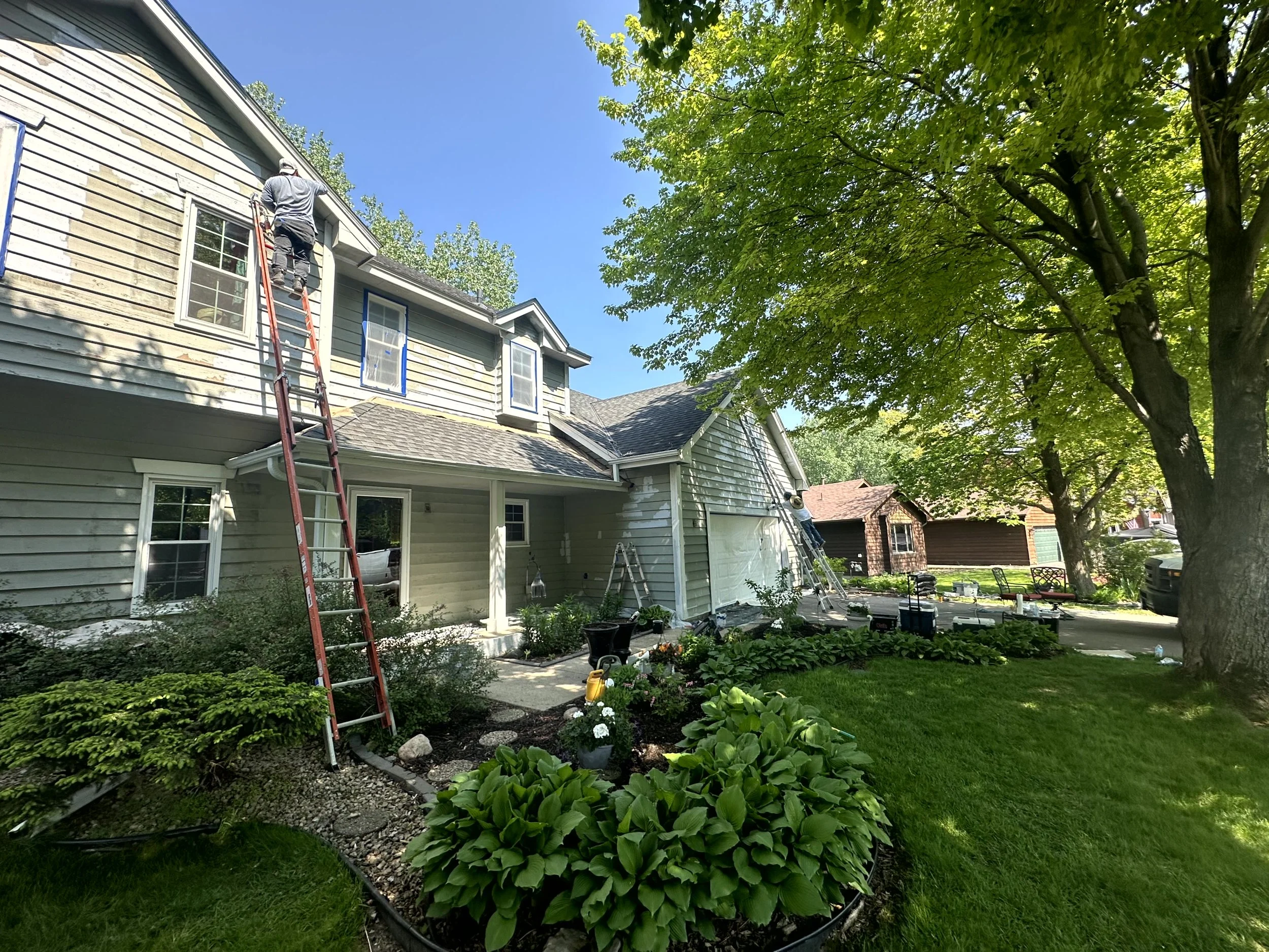 A person is on a ladder working on the roof of a two-story house, which has light-colored horizontal siding. The house has multiple windows, some framed in blue. The yard features lush green plants, bushes, and a large tree with spread-out leaves pro